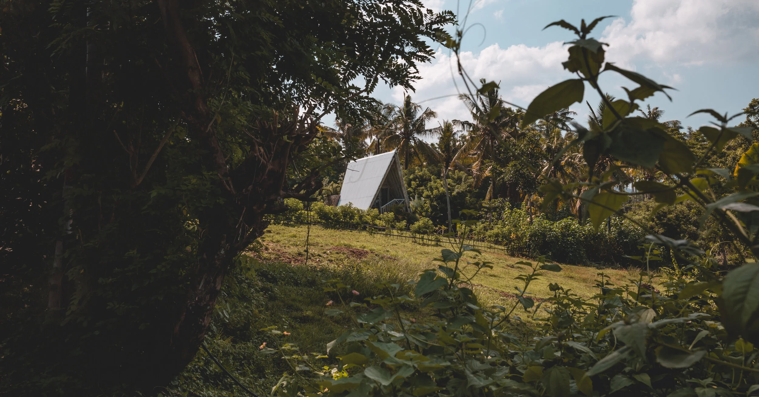 2020 Bali Vibes-29.jpg