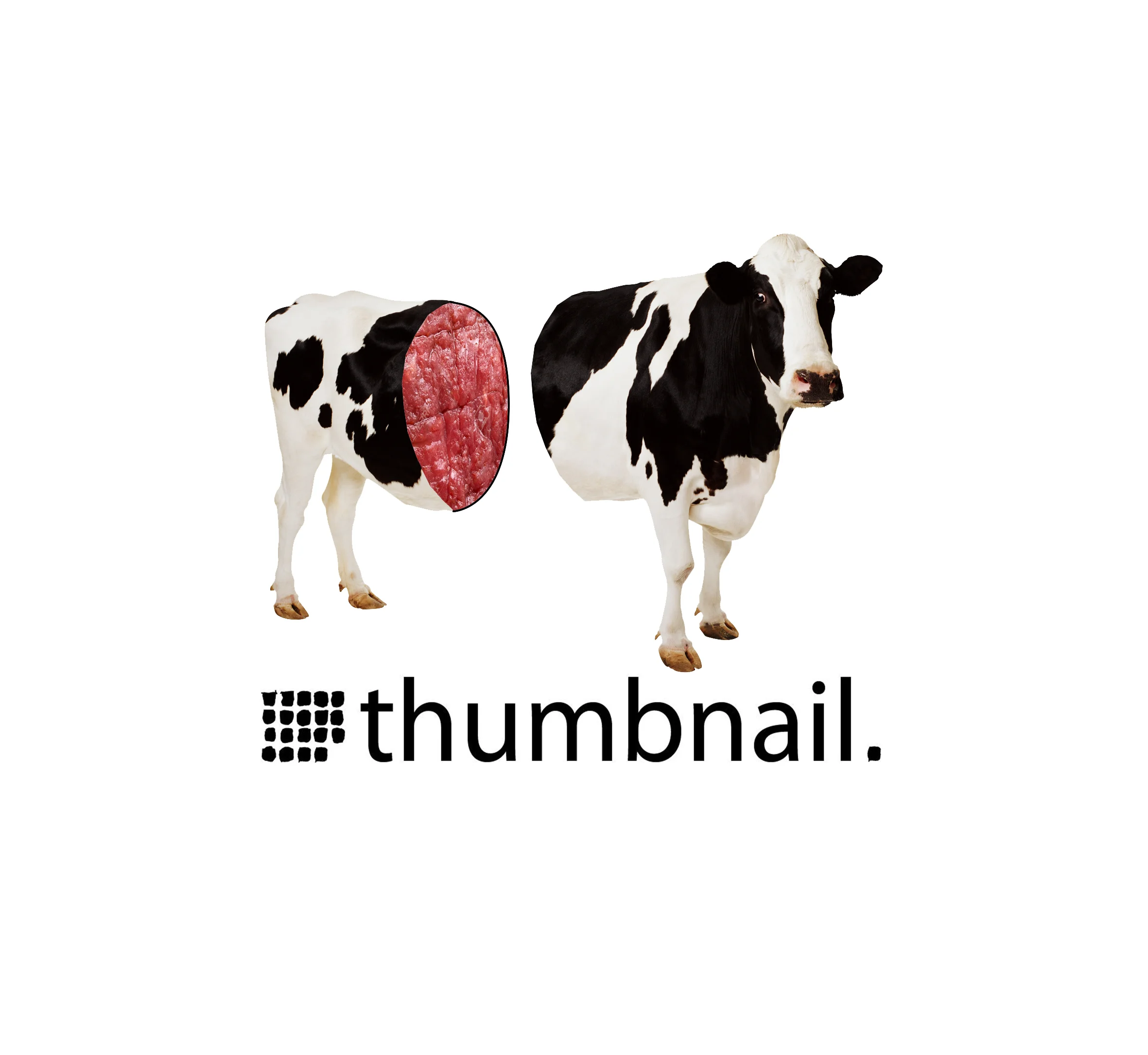 cow2.jpg