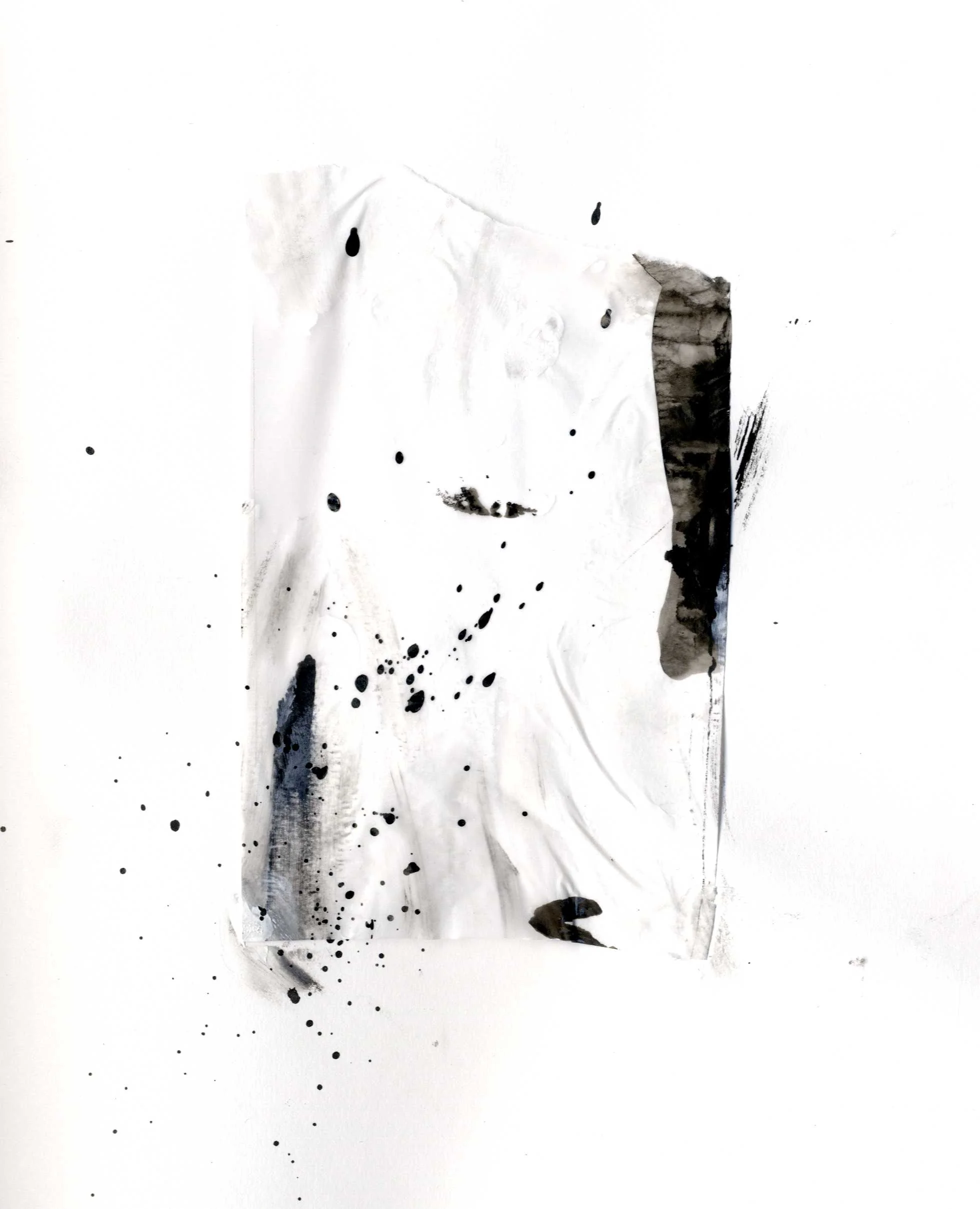 scan001.jpg