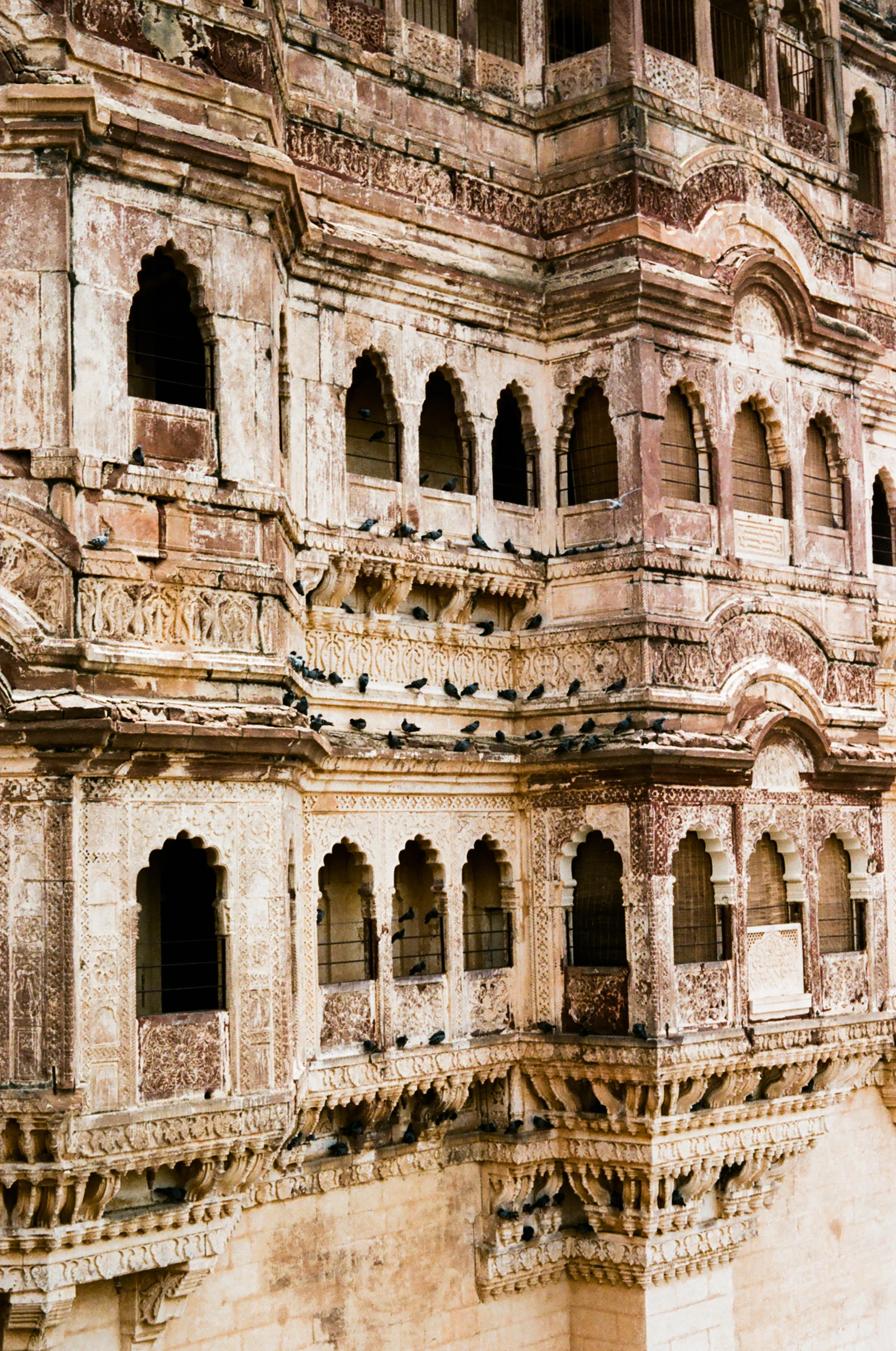 india (84 of 88).jpg