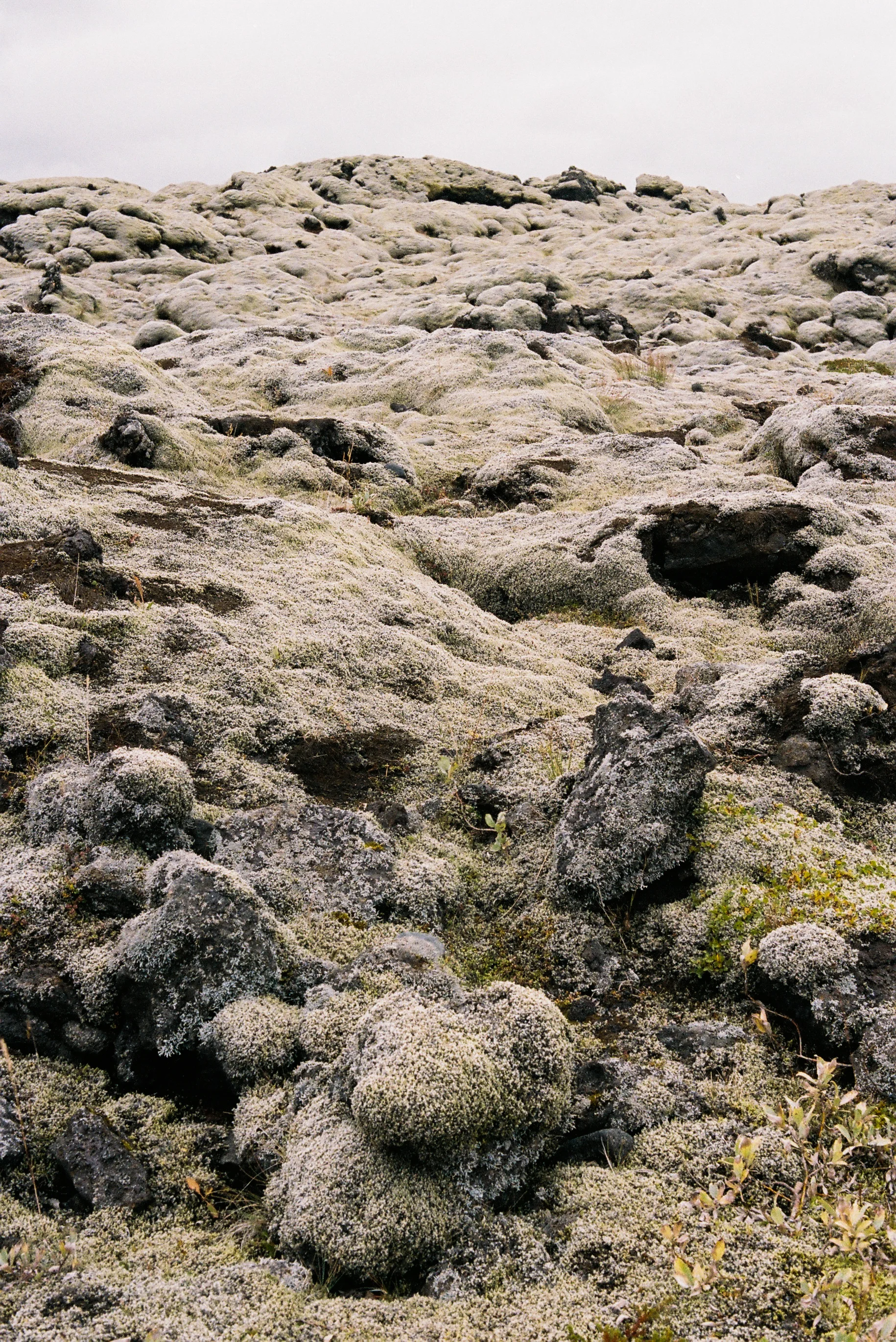 ICELAND_-81.jpg