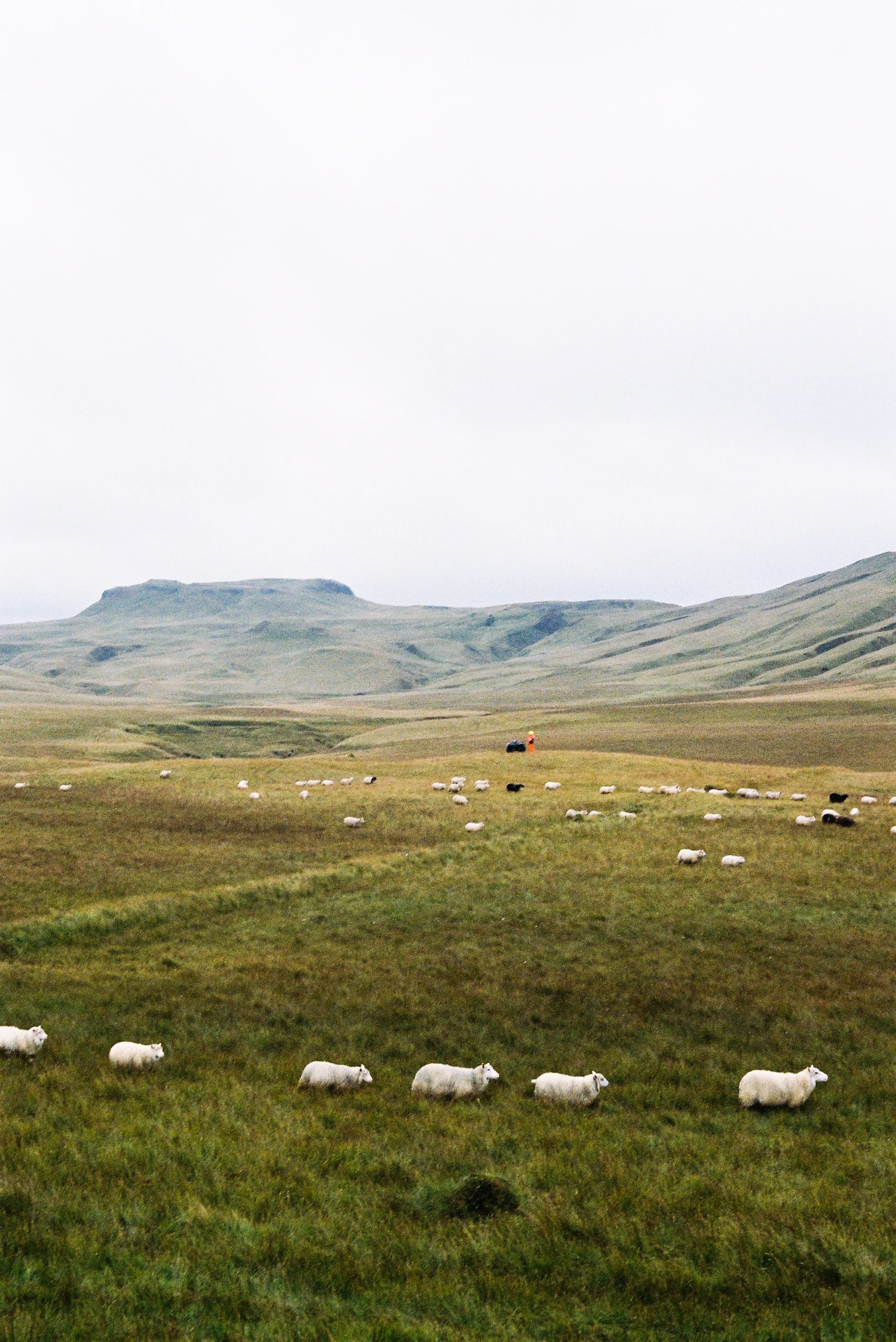 ICELAND_-95.jpg