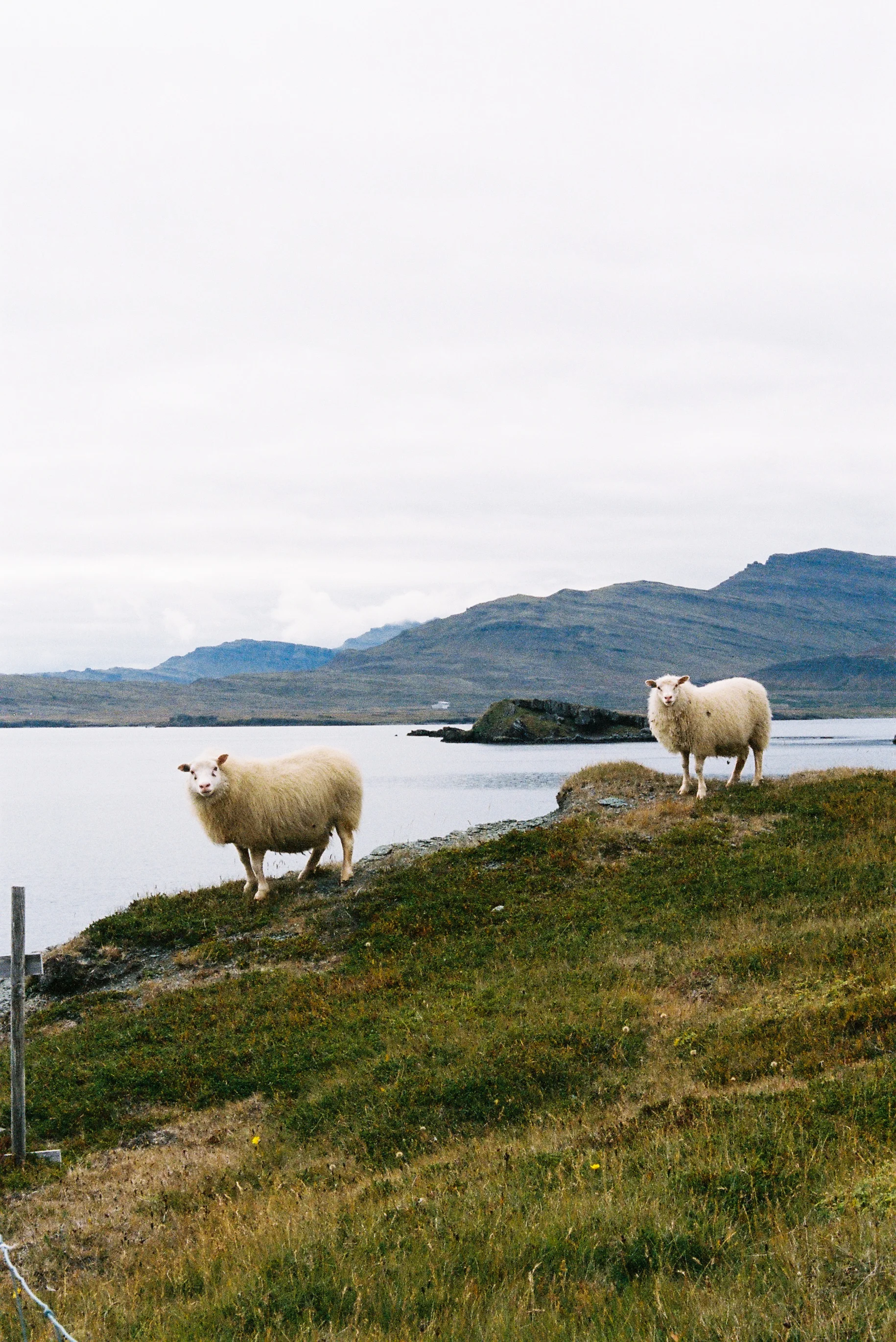 ICELAND_-118.jpg