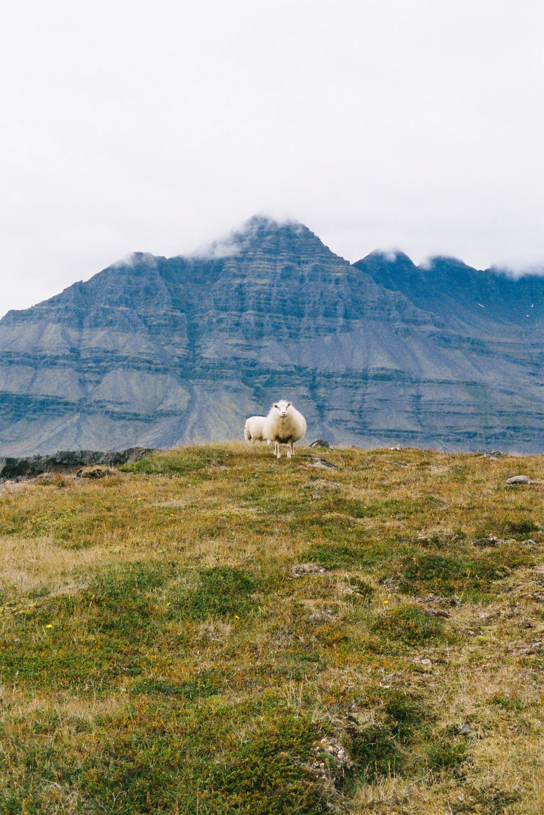 ICELAND_-121.jpg