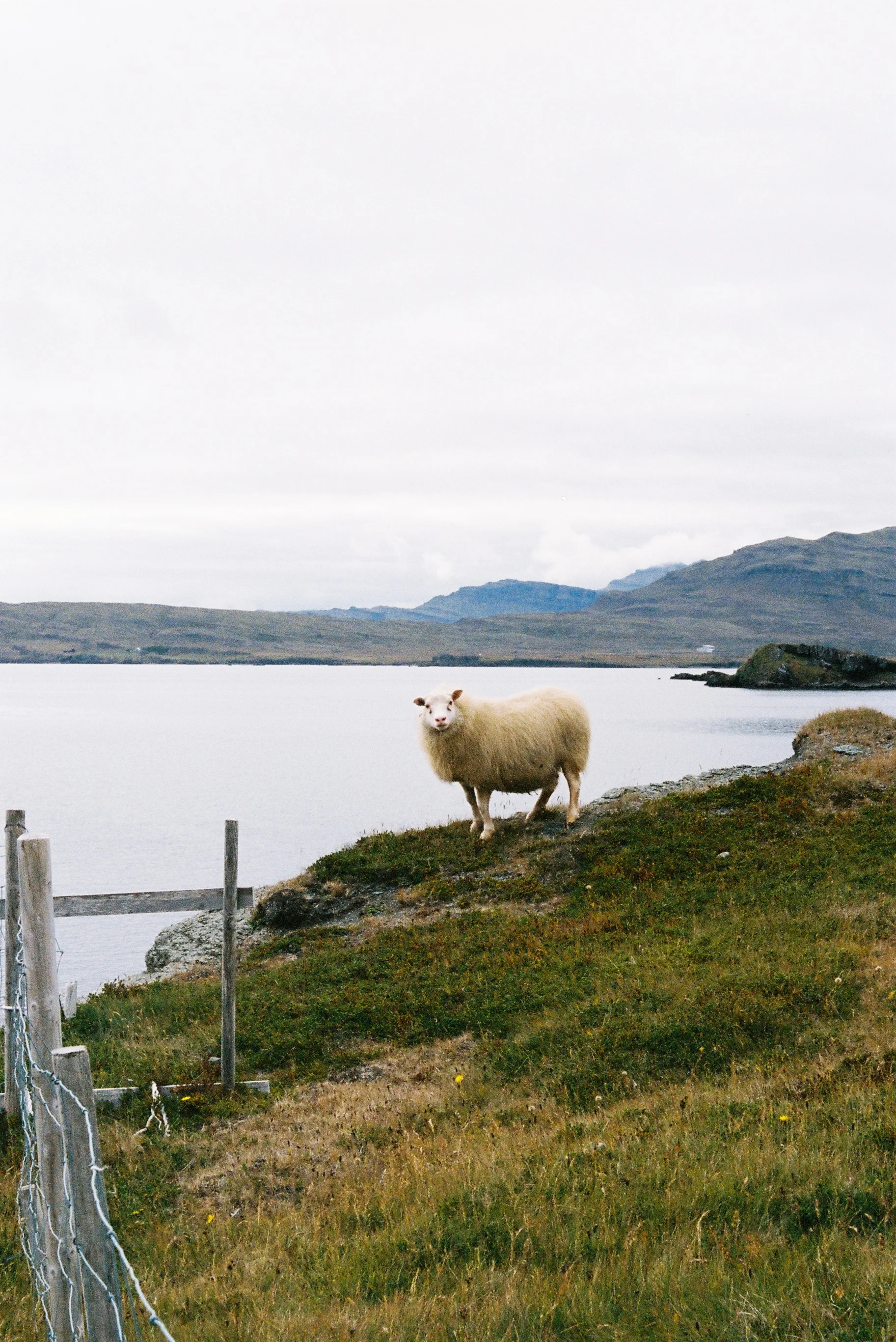 ICELAND_-128.jpg