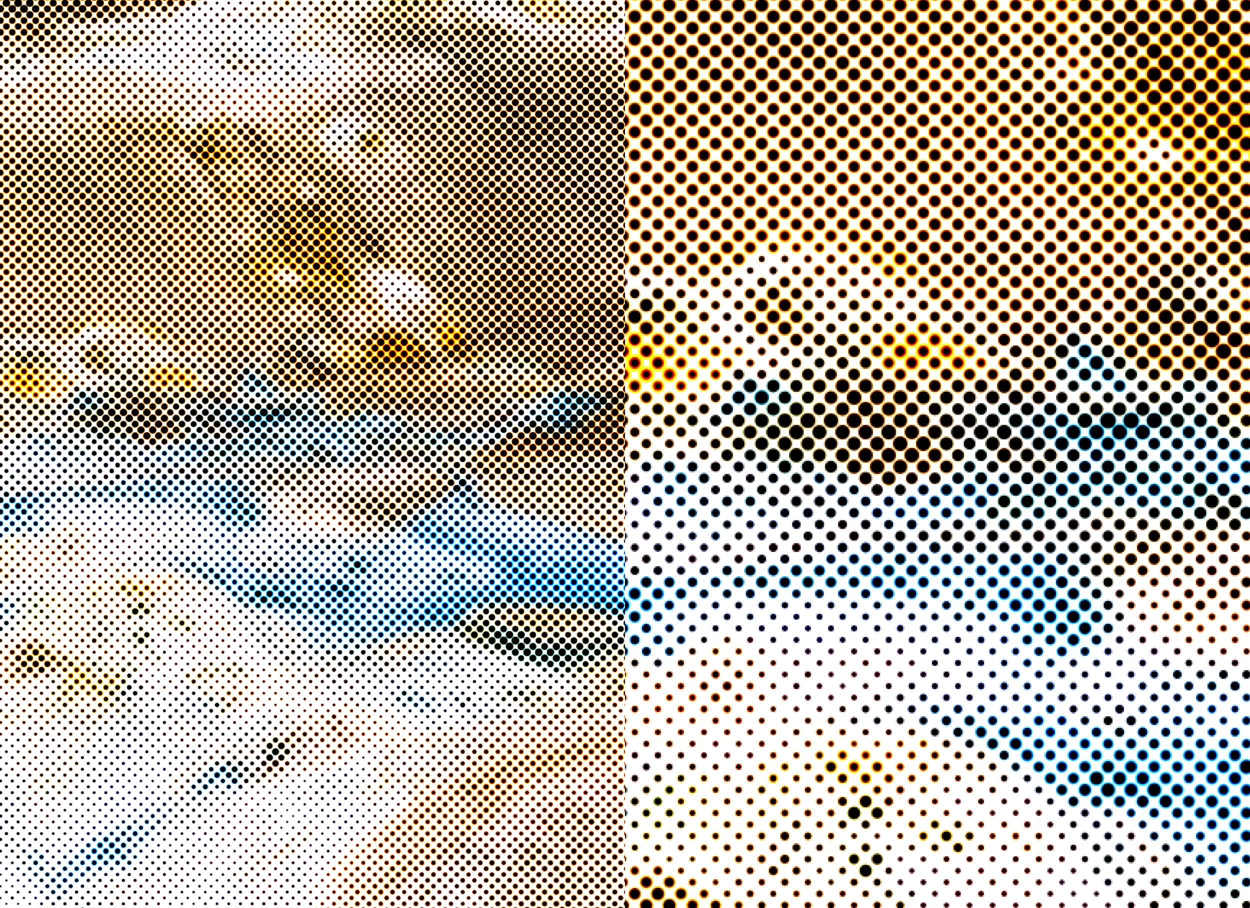 Publication_CornellPrint_bleed (introduction_2)8.jpg