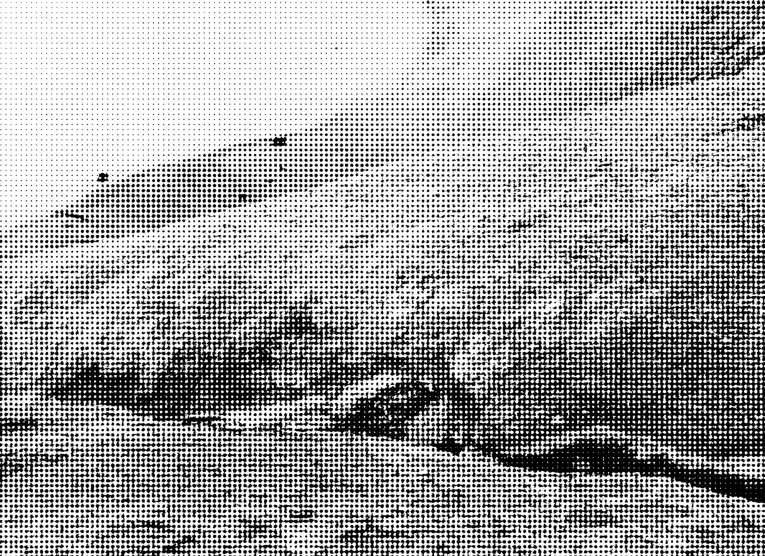 Publication_CornellPrint_bleed (introduction_2)10.jpg