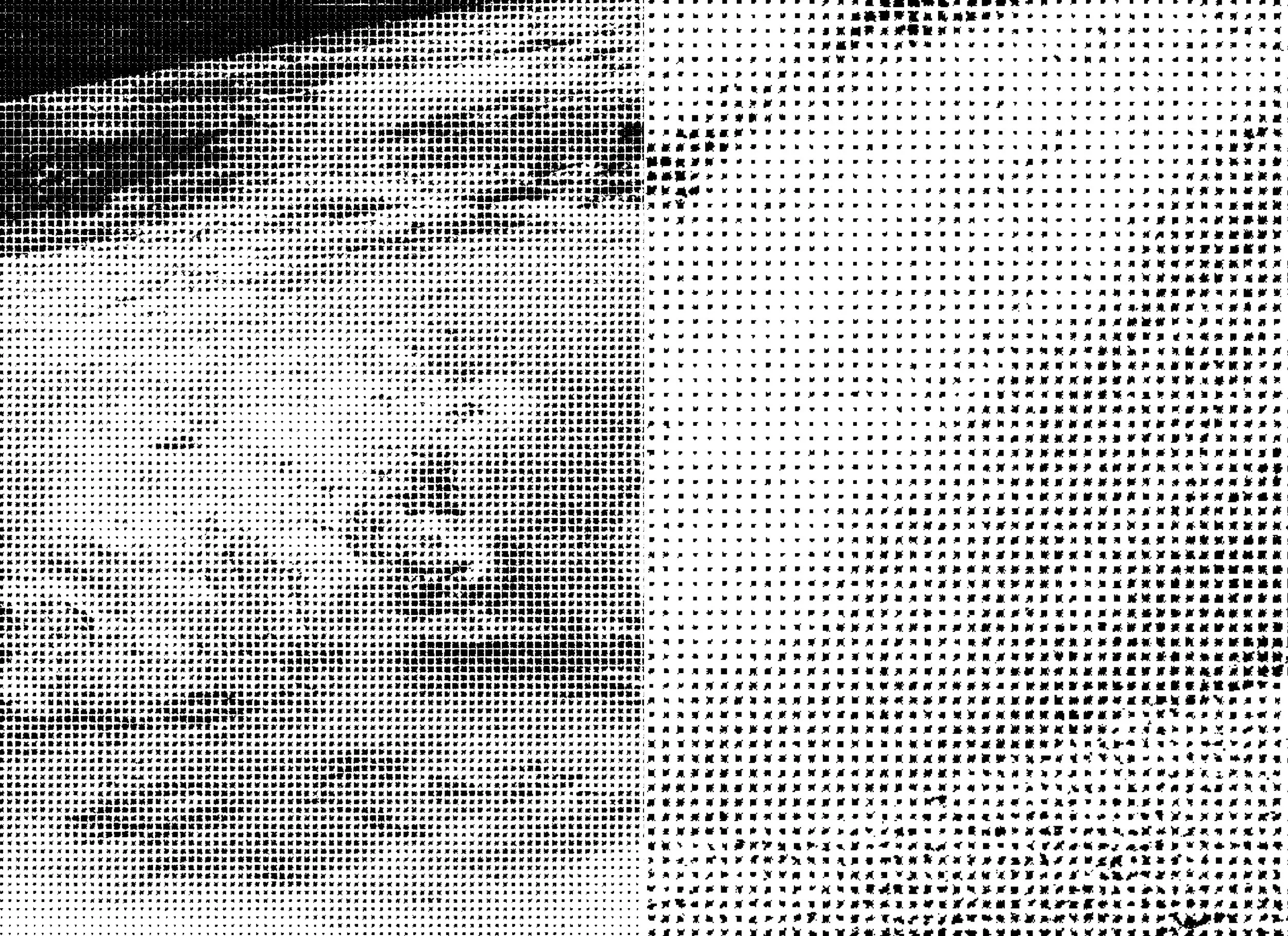 Publication_CornellPrint_bleed (introduction_2)12.jpg