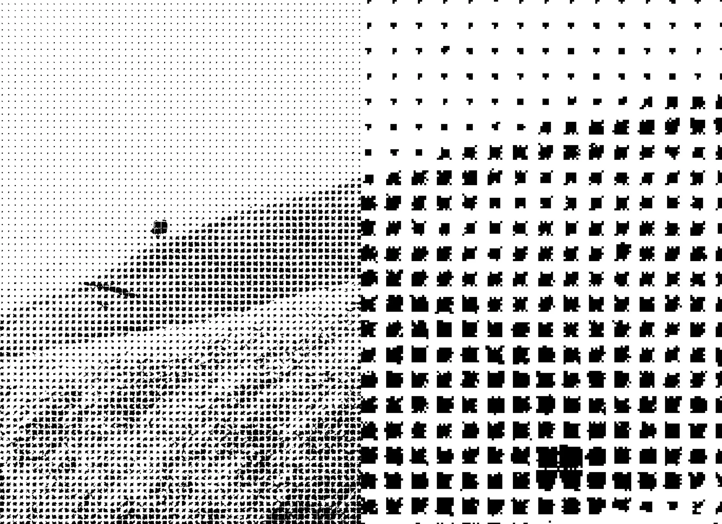 Publication_CornellPrint_bleed (introduction_2)16.jpg