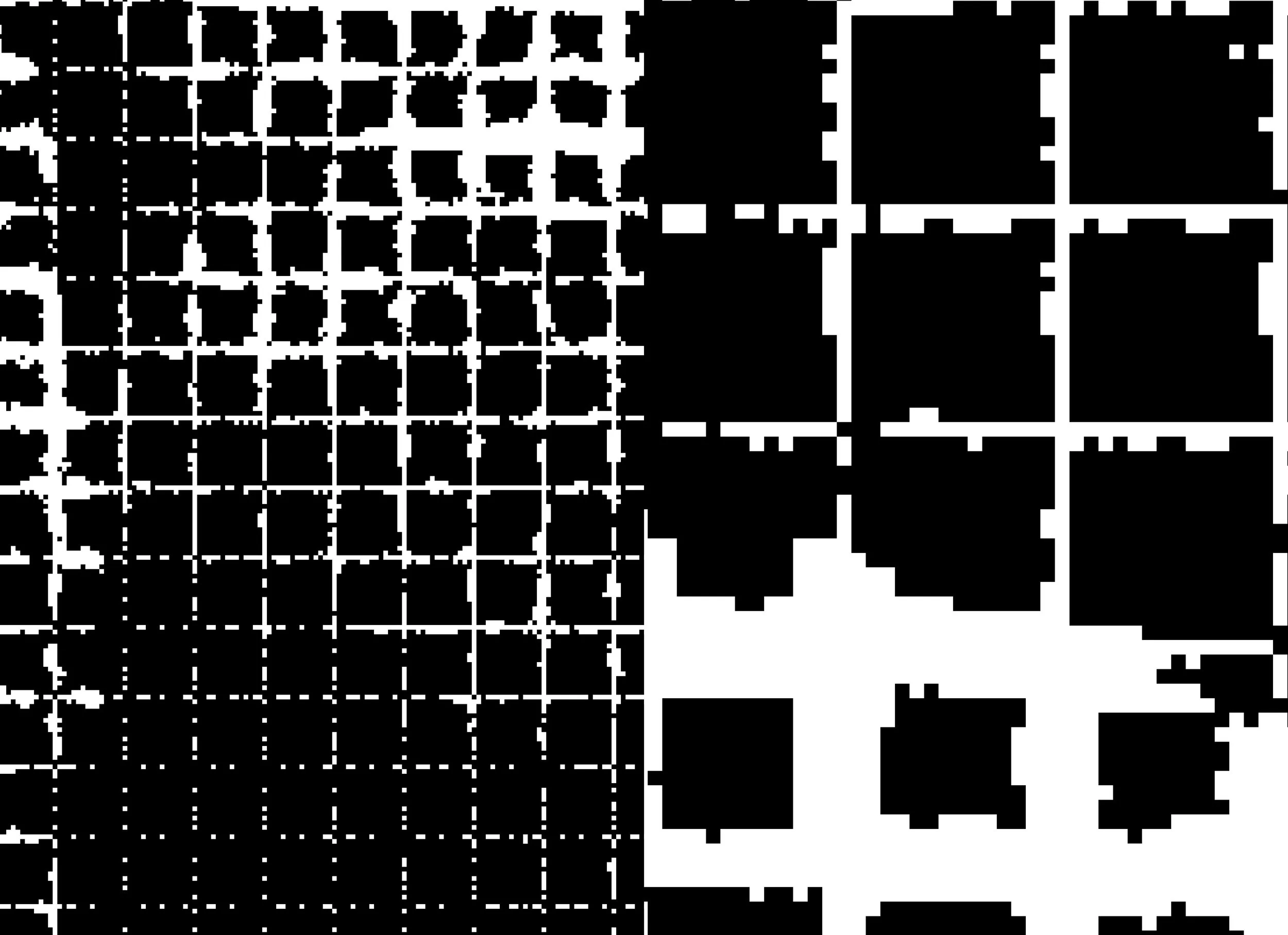Publication_CornellPrint_bleed (introduction_2)33.jpg