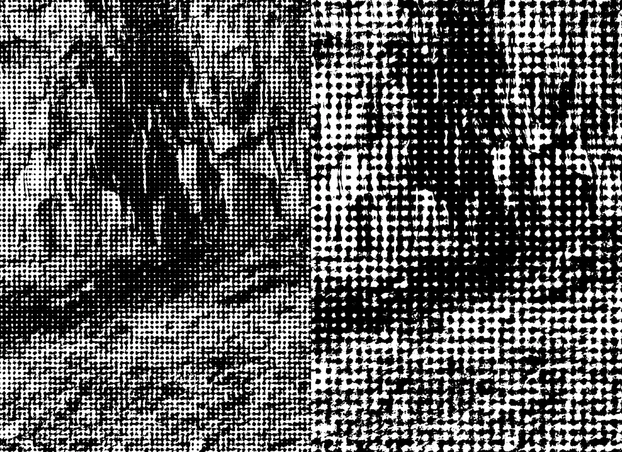 Publication_CornellPrint_bleed (introduction_2)40.jpg