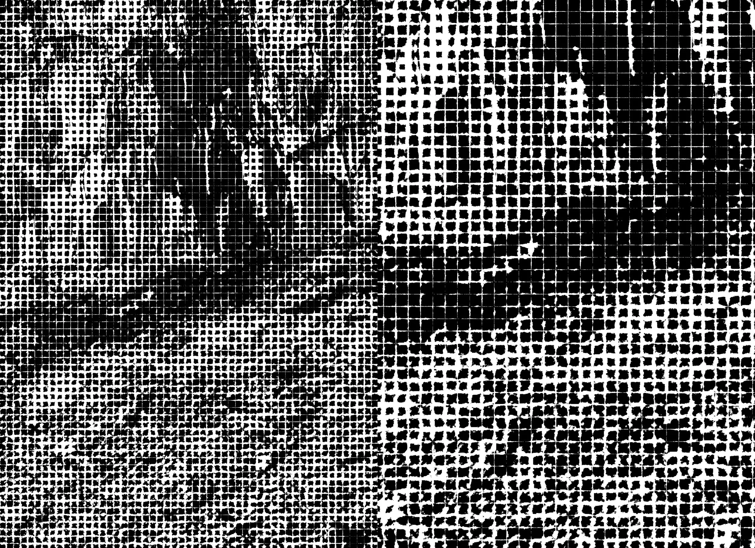Publication_CornellPrint_bleed (introduction_2)41.jpg