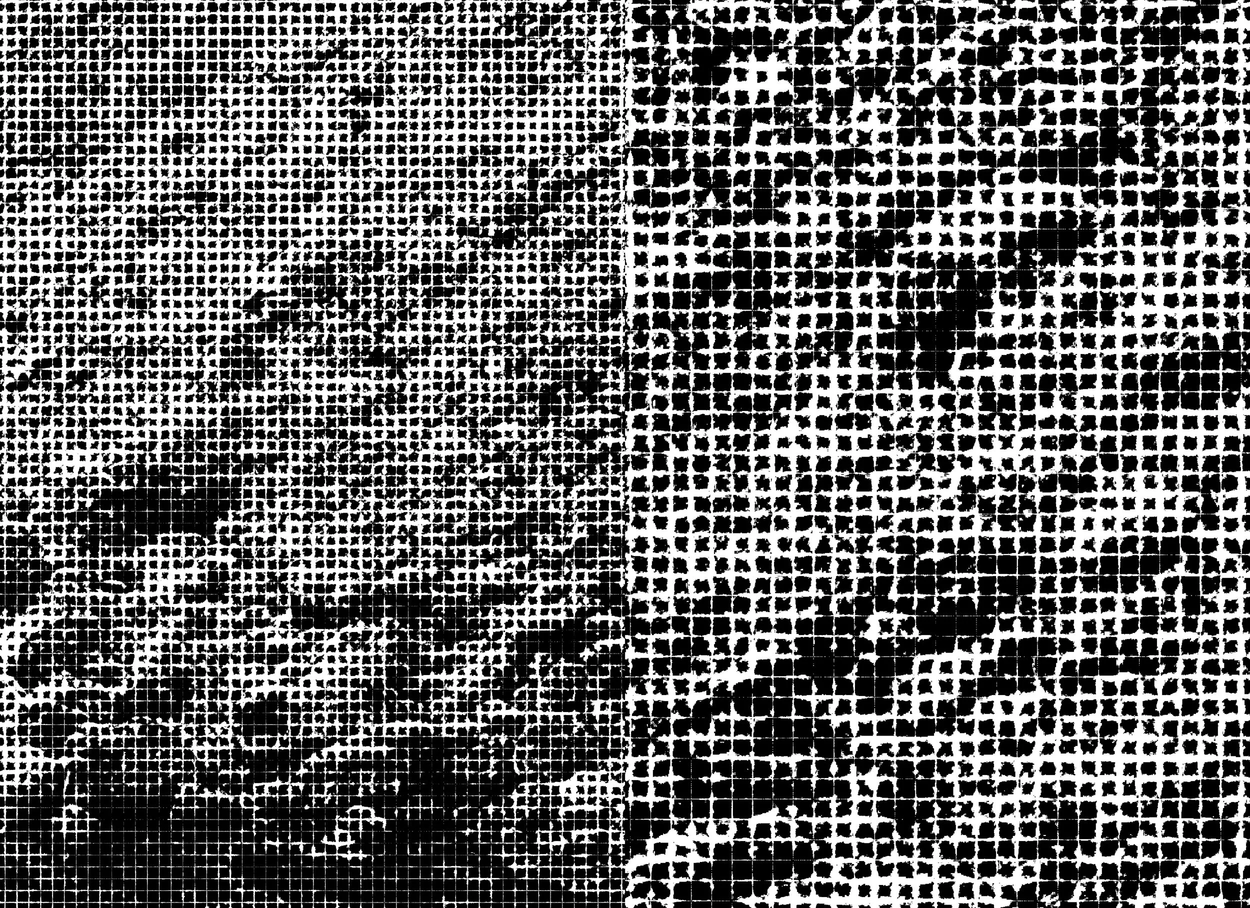 Publication_CornellPrint_bleed (introduction_2)42.jpg