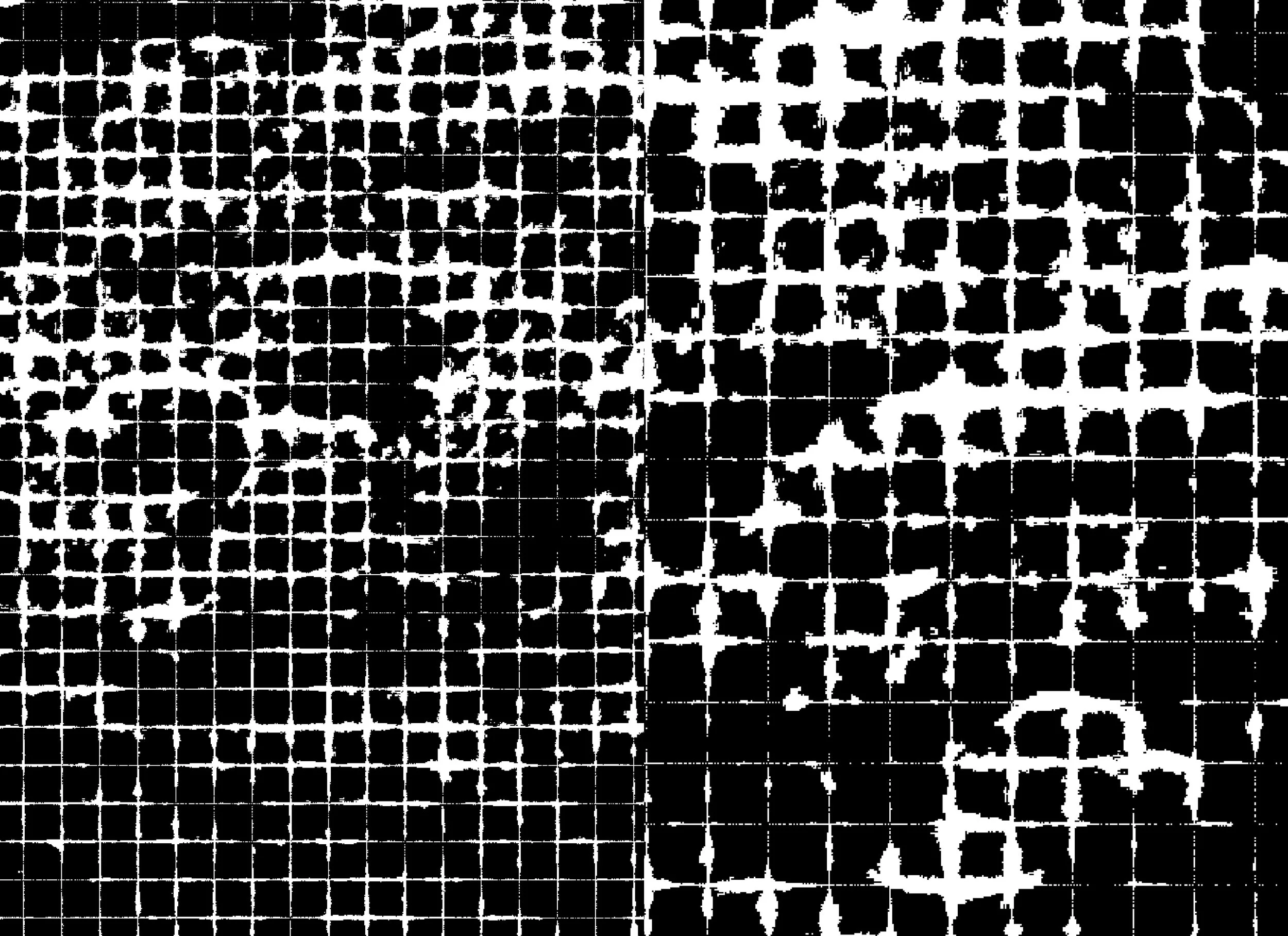 Publication_CornellPrint_bleed (introduction_2)45.jpg