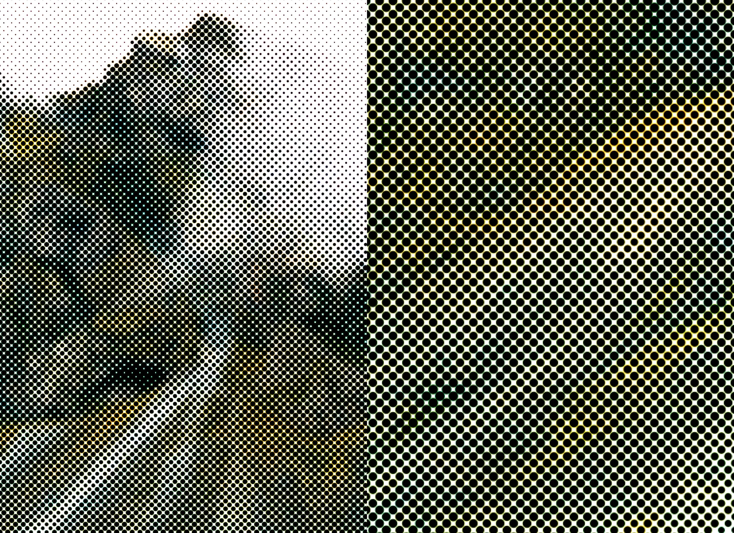 Publication_CornellPrint_bleed (introduction_2)51.jpg