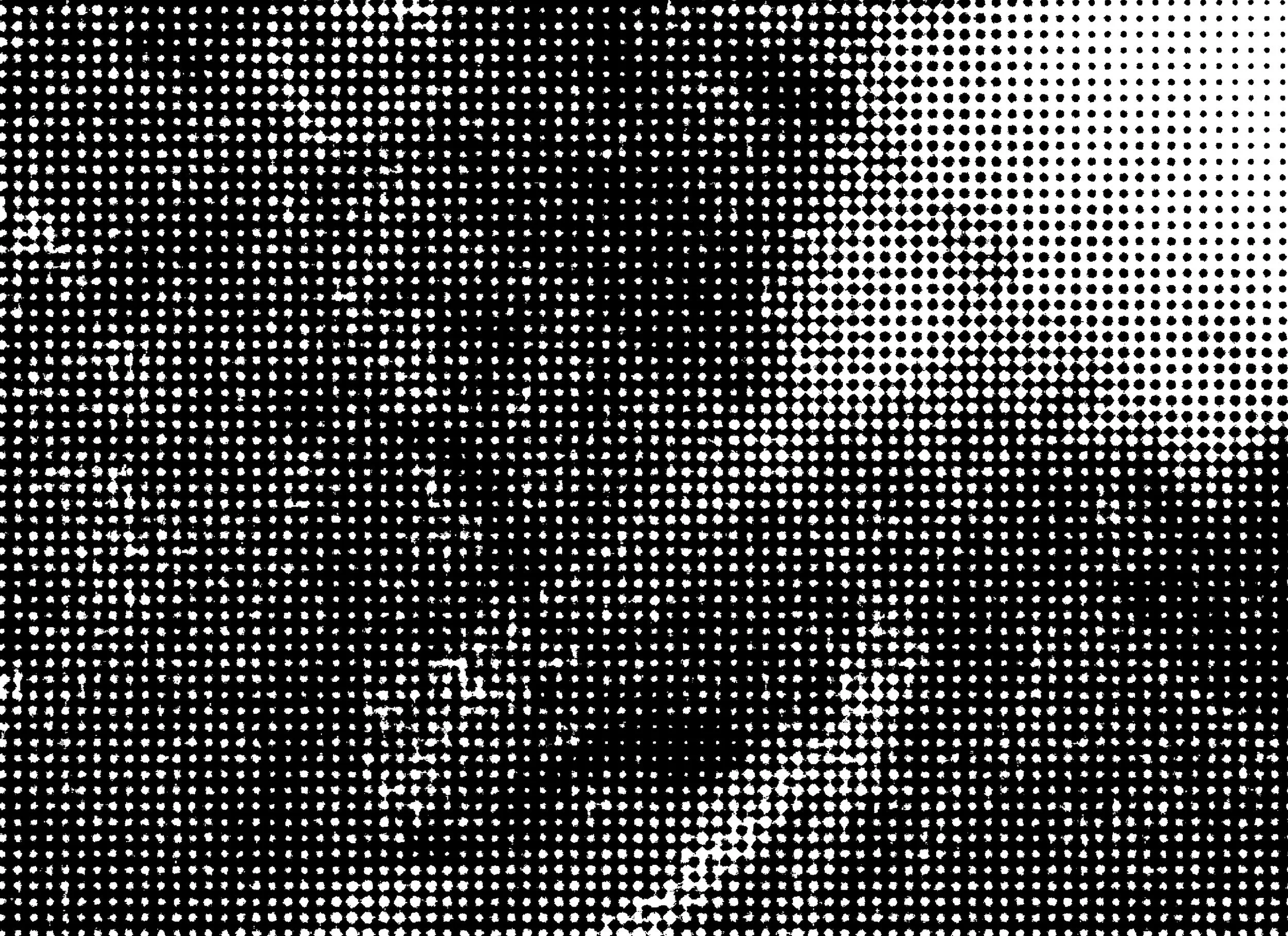 Publication_CornellPrint_bleed (introduction_2)53.jpg