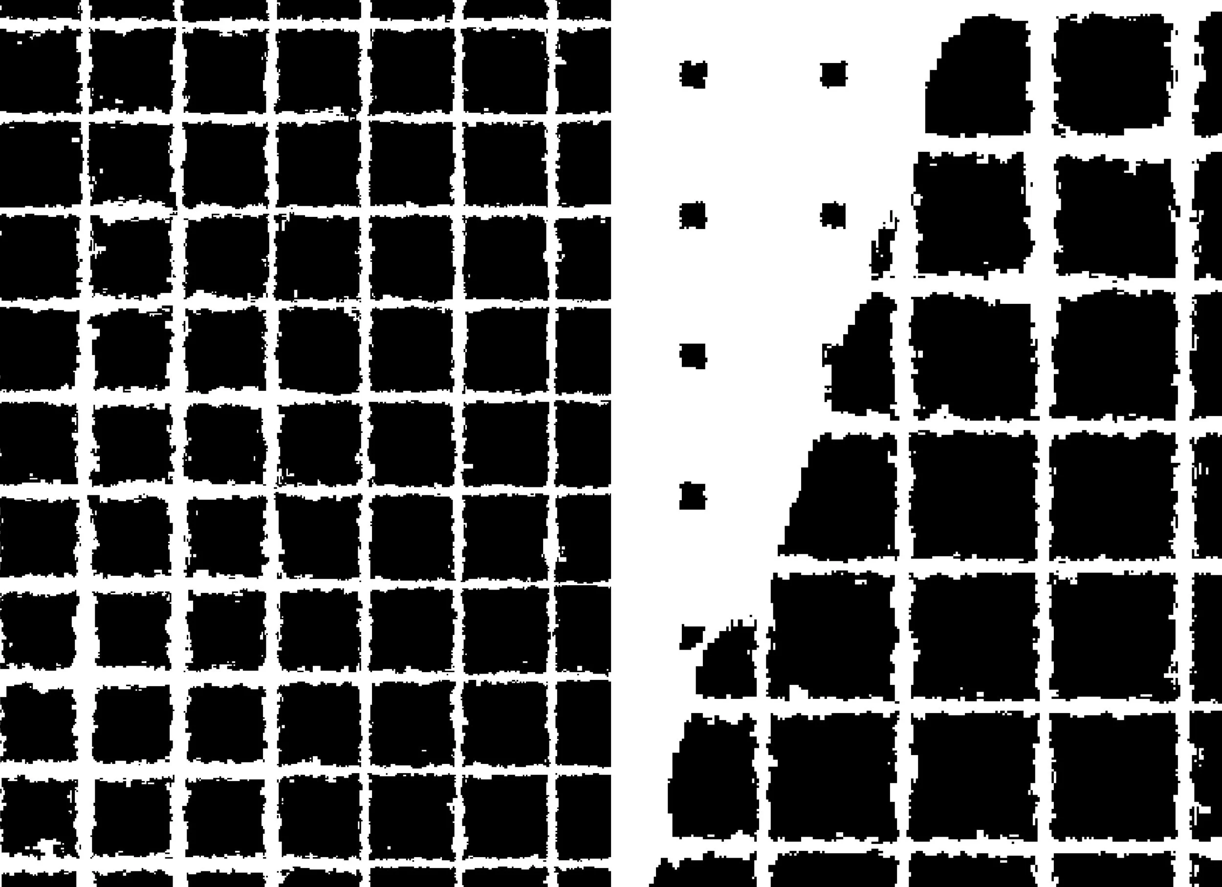 Publication_CornellPrint_bleed (introduction_2)59.jpg