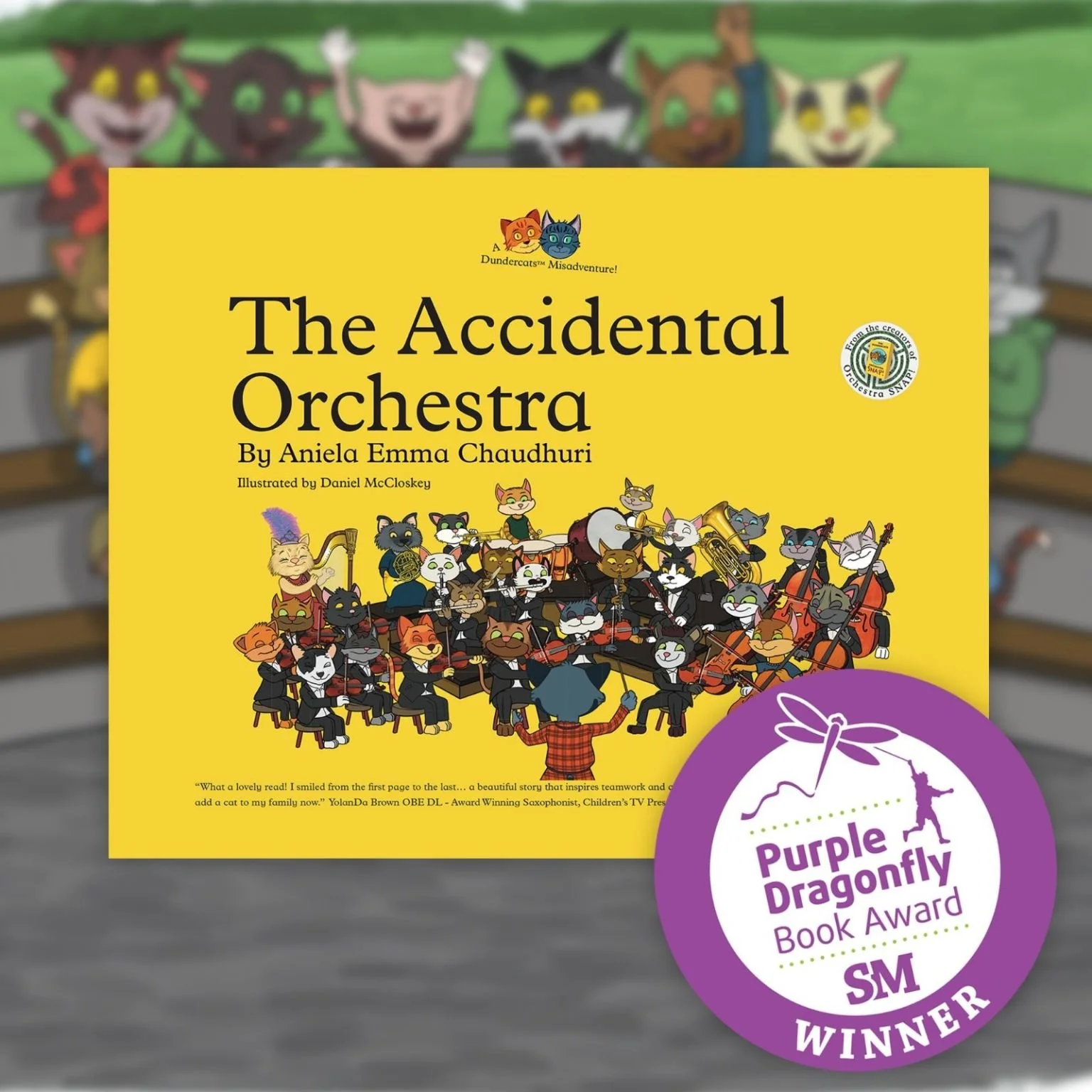 'The Accidental Orchestra' storybook wins award!