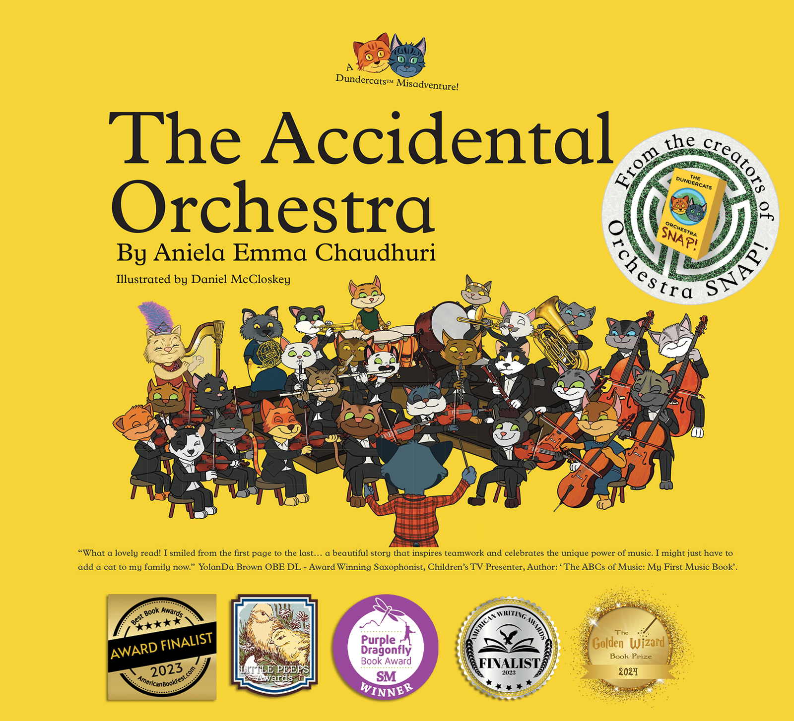 Accidental+Orchestra_Cover+for+with+Multiple+Awards+v2.png