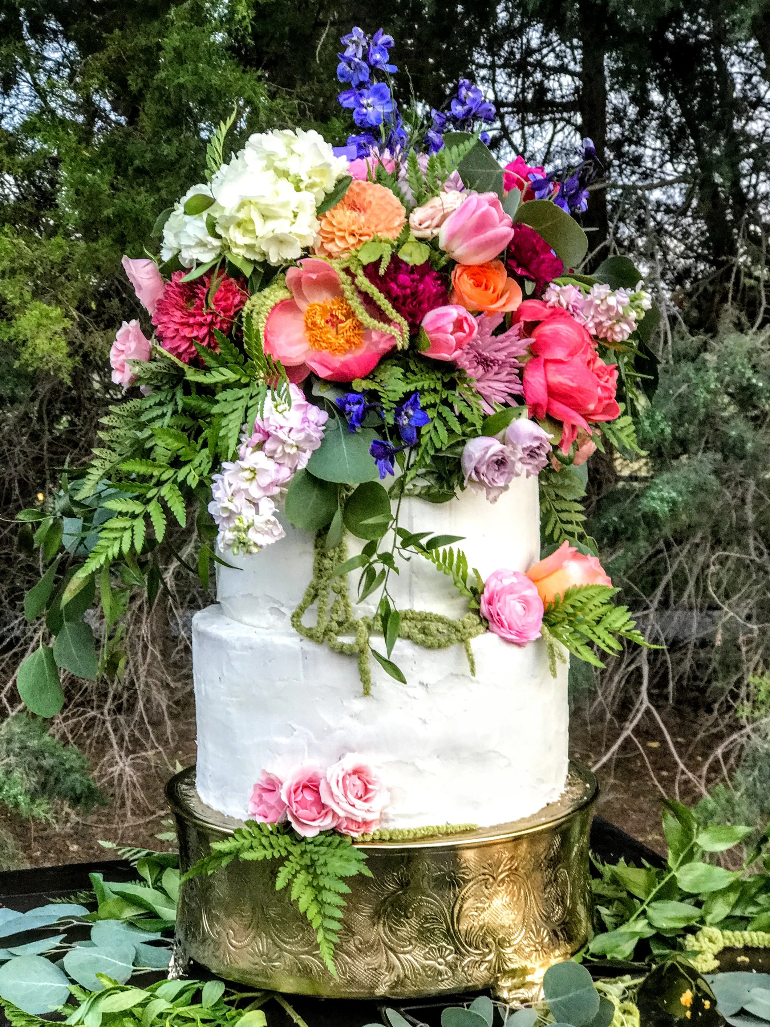 A neighbor's backyard wedding - June 2017. Taken with iPhone 7plus.