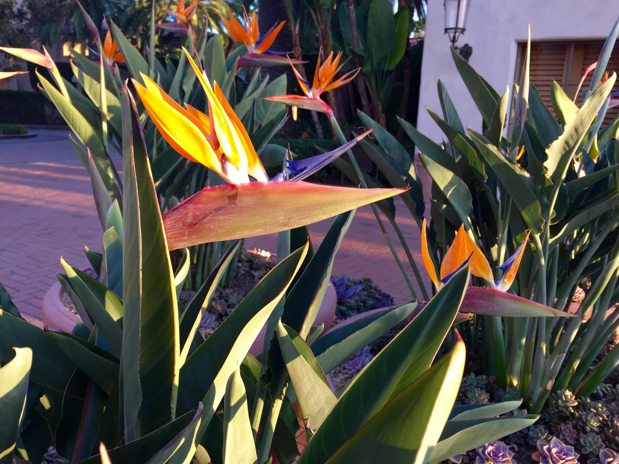Newport, California - November 2015. Taken with iPhone 6.