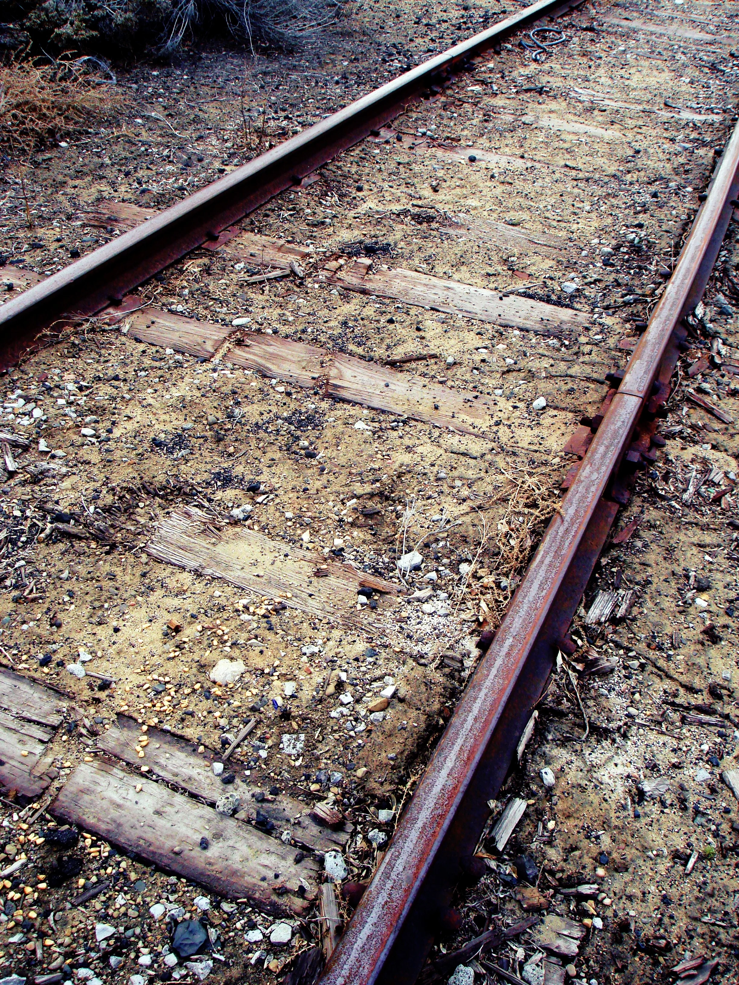 Taken with Sony Sony DSC-W100 point and shoot in 2008