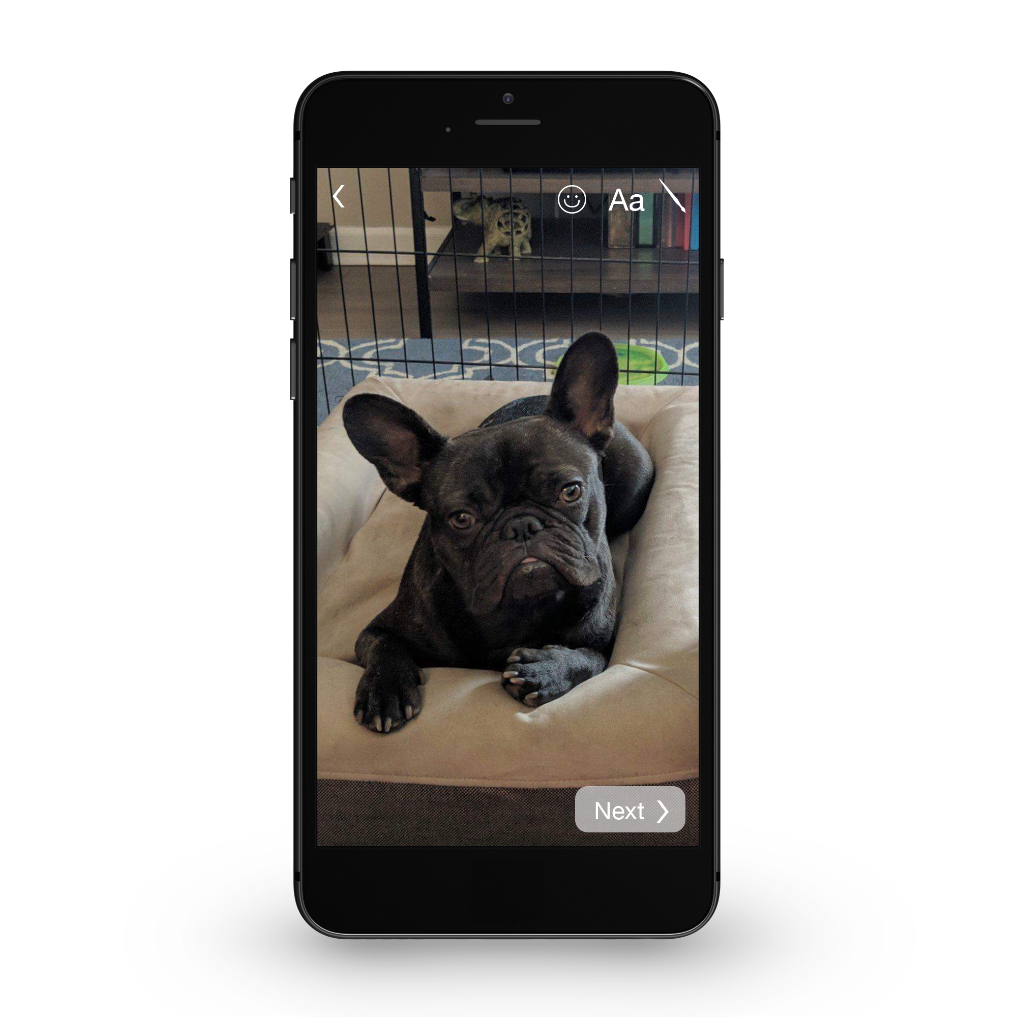 Front View2.png
