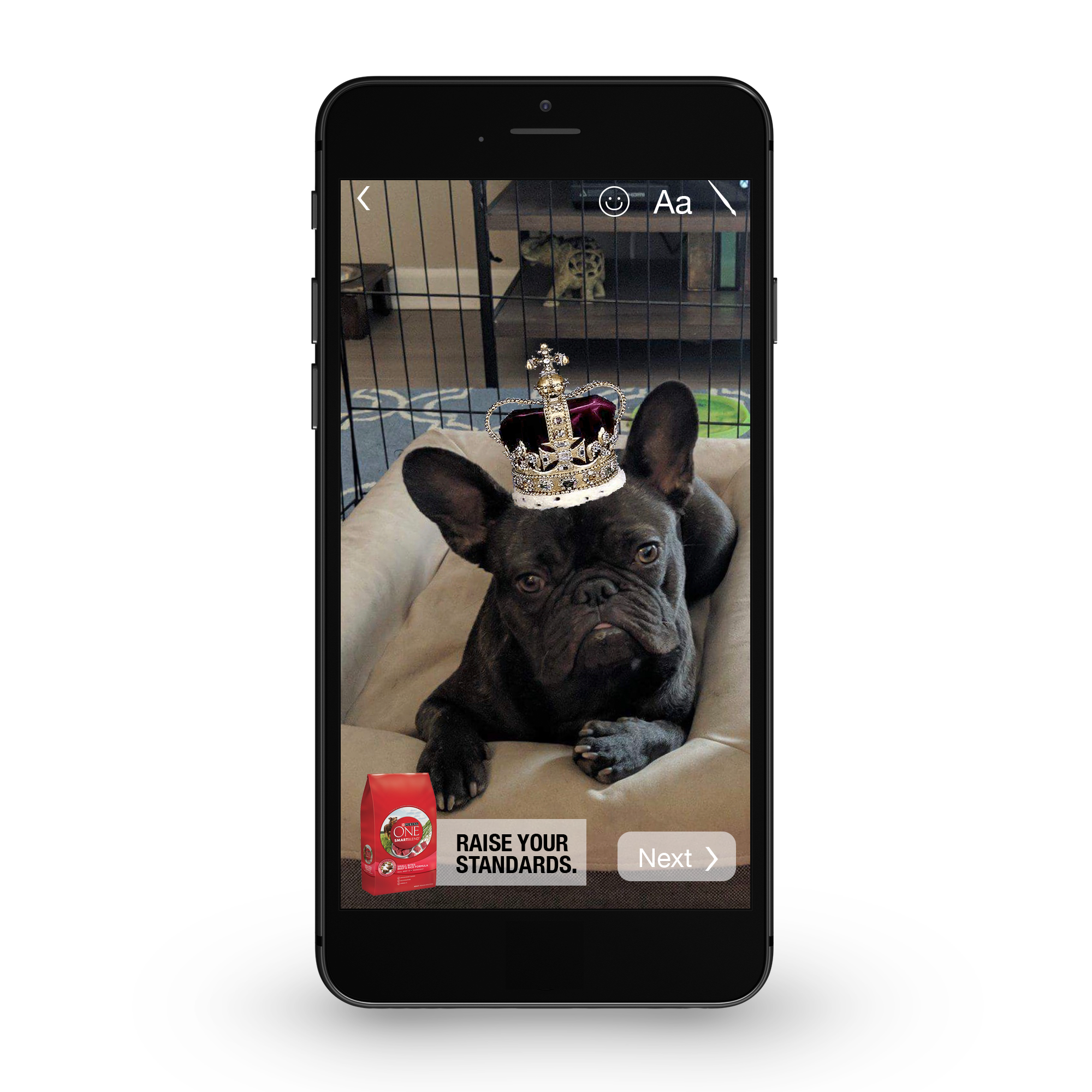Front View12.png
