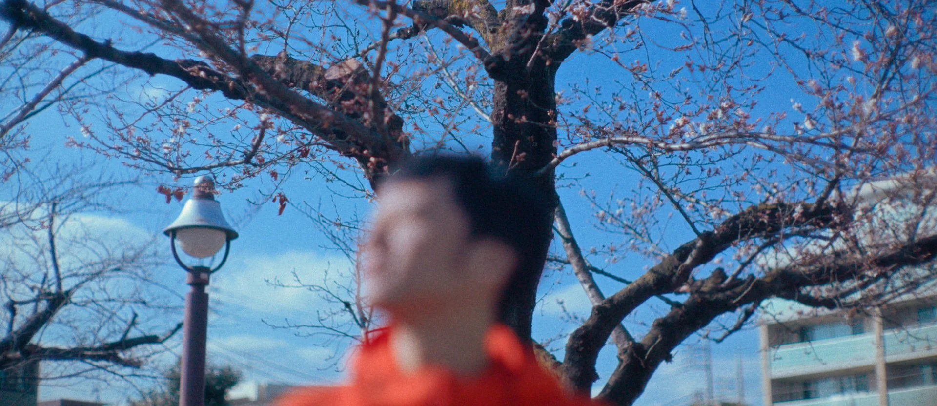 2Edit002_愛がすべてのこと_3.00_03_41_17.静止画013.jpg