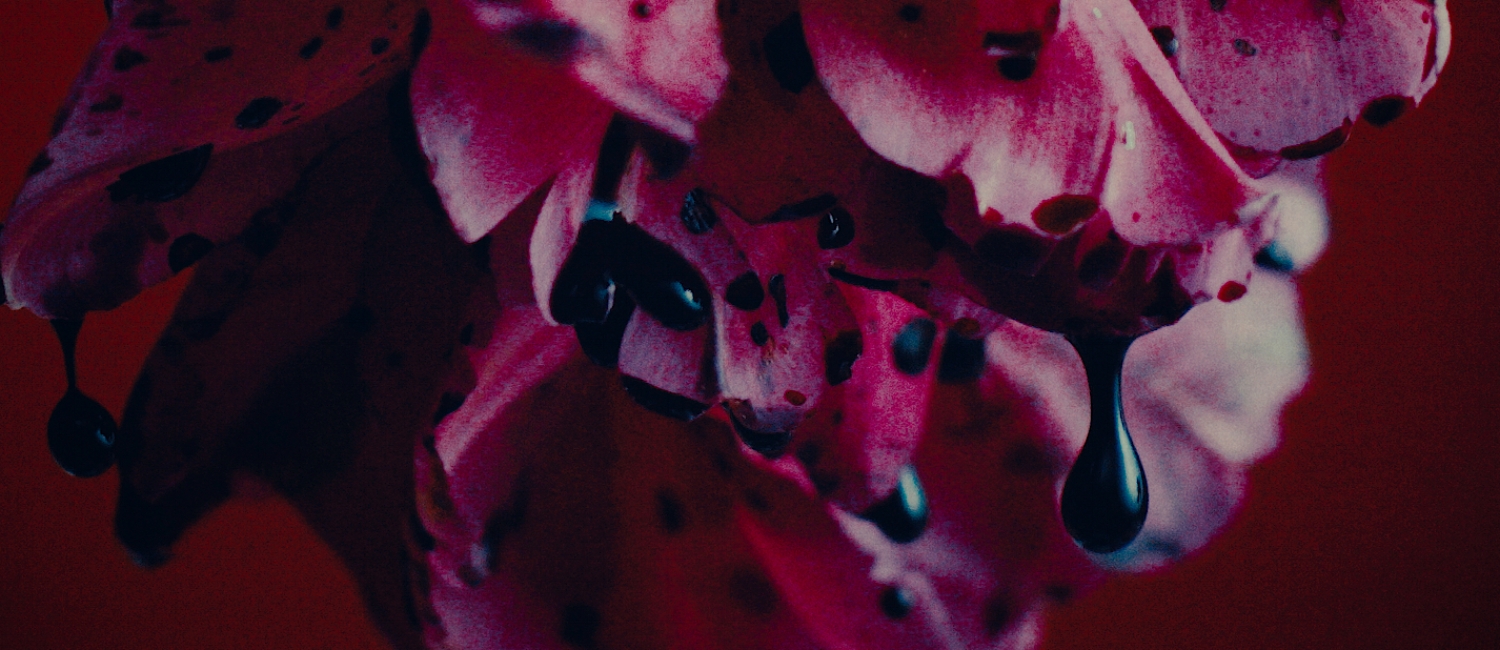 01_Shape of miracle+1dB_48k24b.00_02_56_26.Still020.jpeg