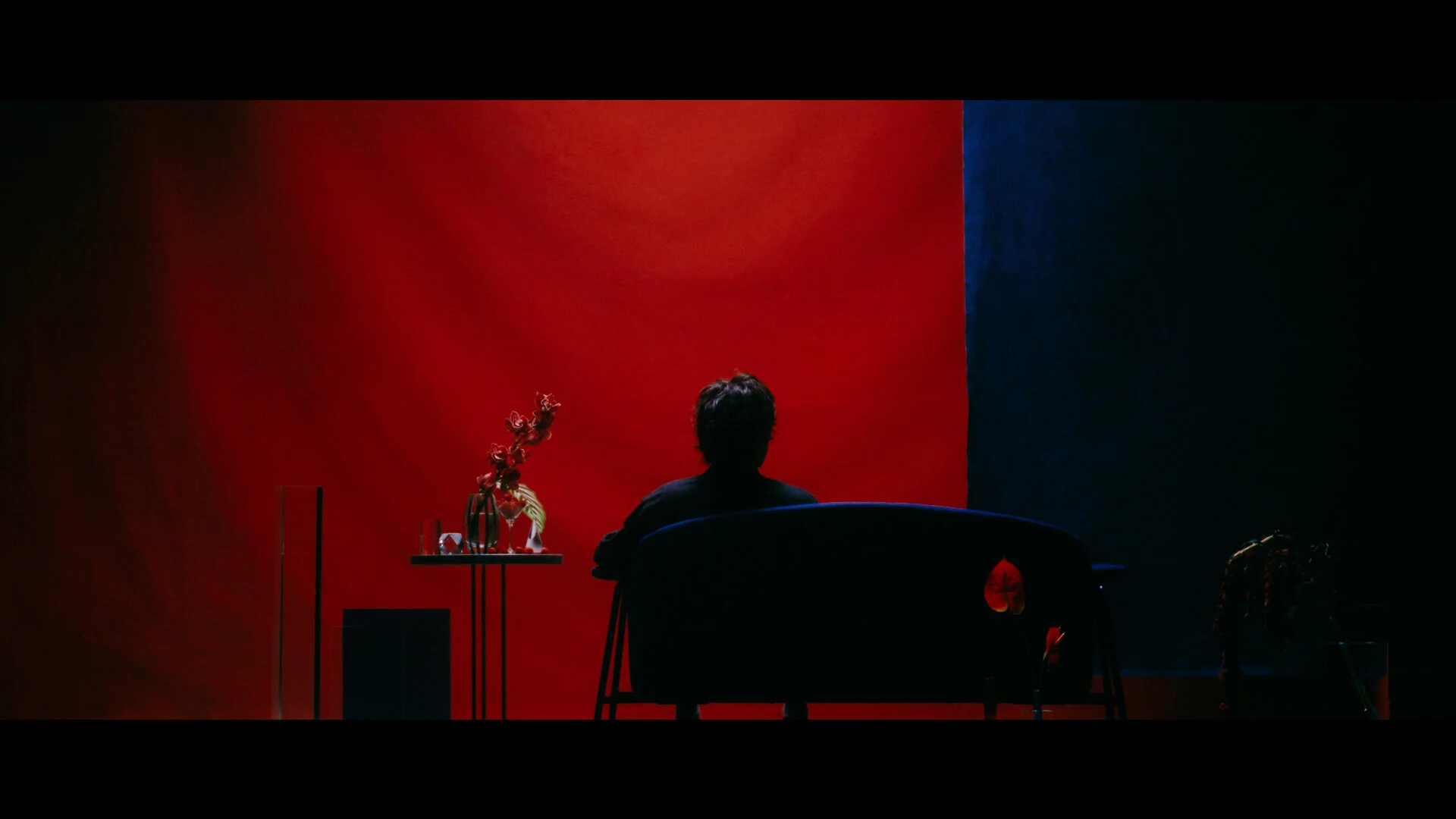 秦基博/ Raspberry Lover Music Video — KYOTARO HAYASHI