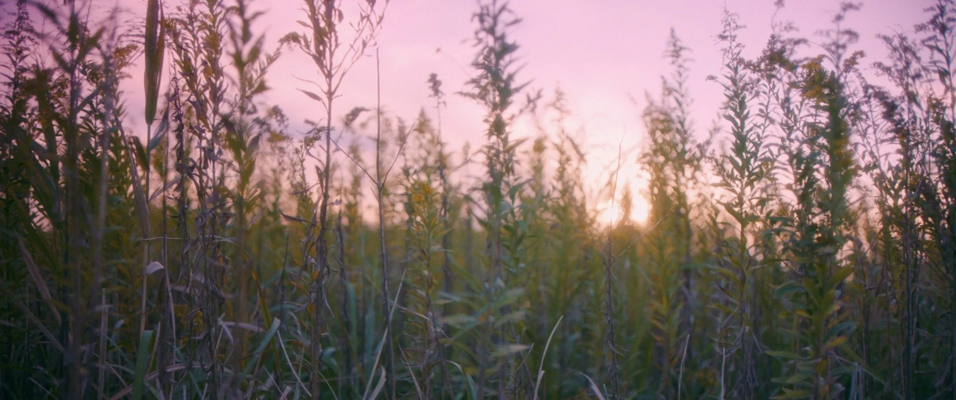 名称未設定 2_0005_レイヤー 5.jpg