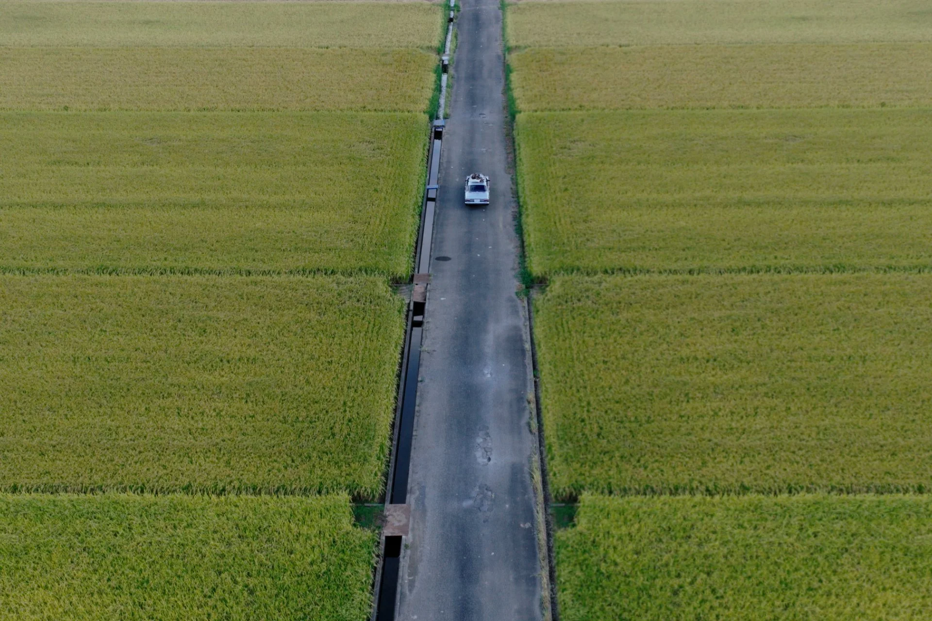 251028_SONY_PCL_siro_uncompress_YUV10bit.00_01_17_15.静止画017.jpg