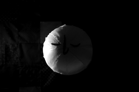 DSC02913.00_05_16_18.Still064.png