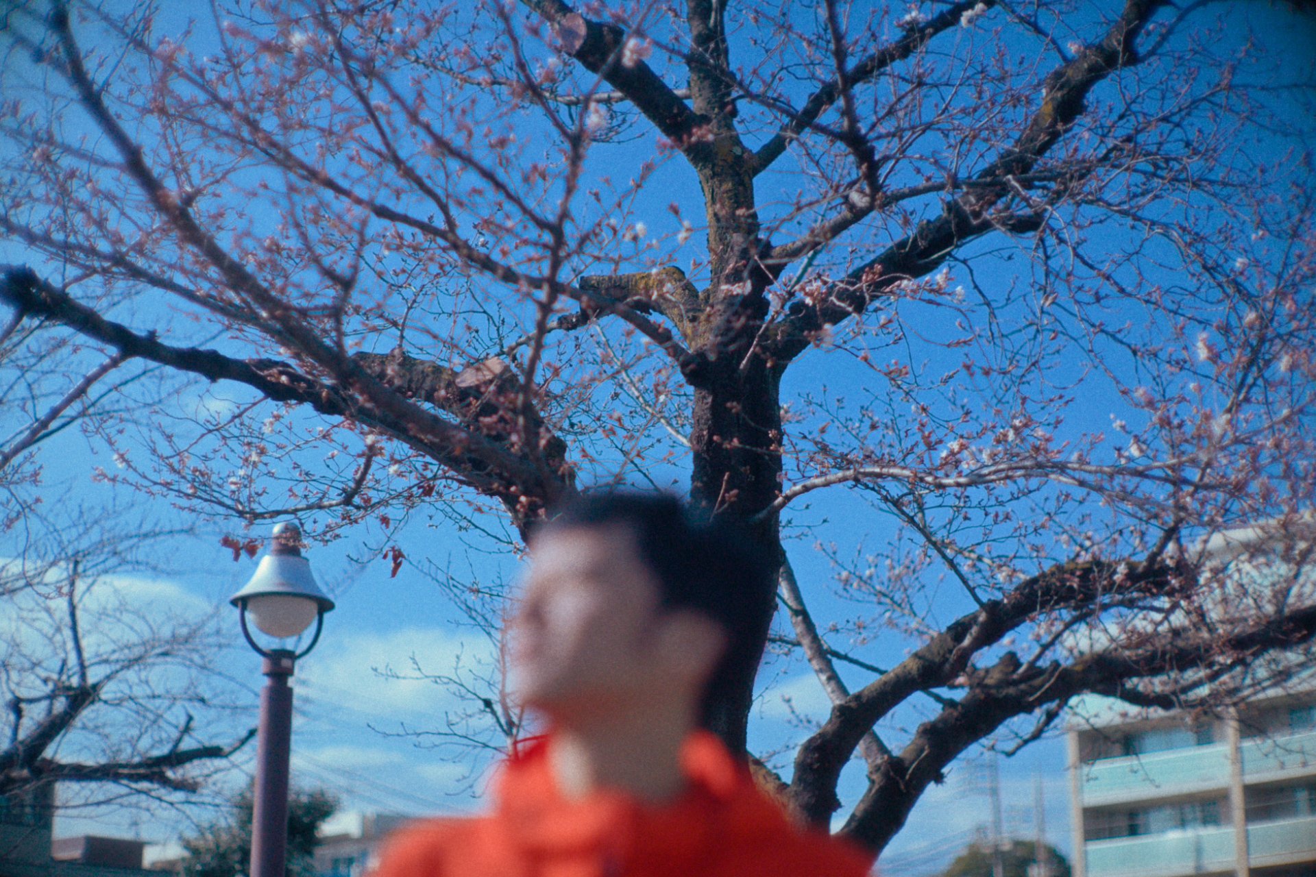 Edit002_愛がすべてのこと_3.00_03_41_17.静止画013.jpg