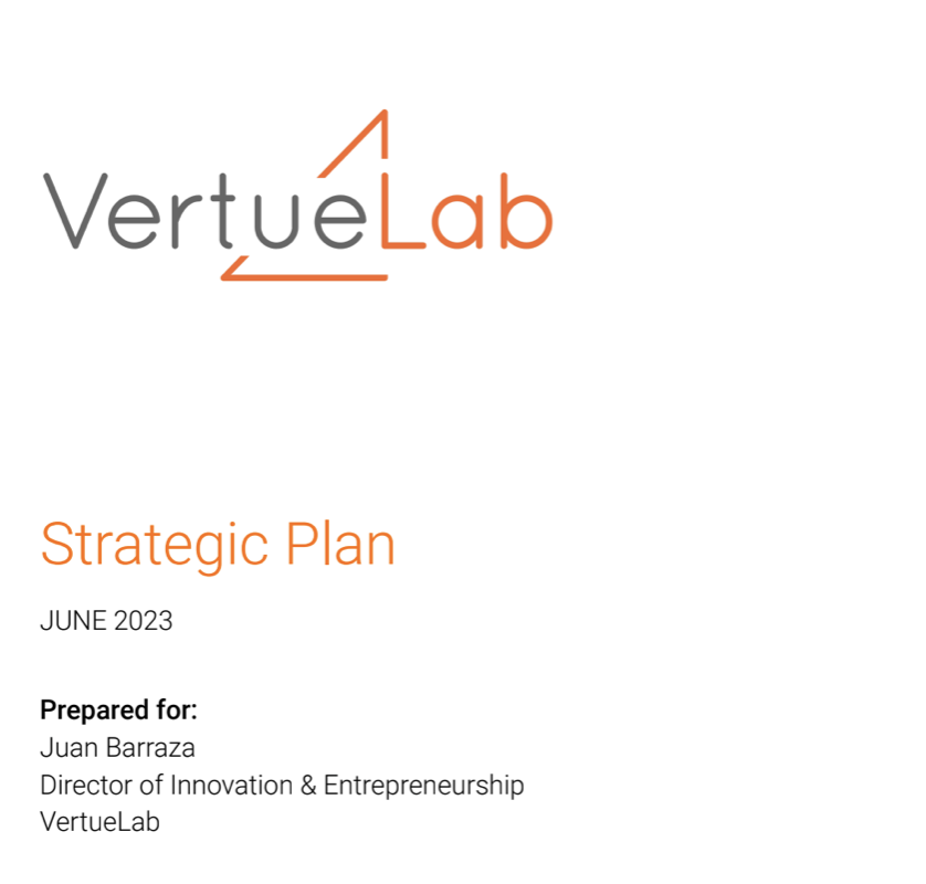 VertueLab Strategic Plan