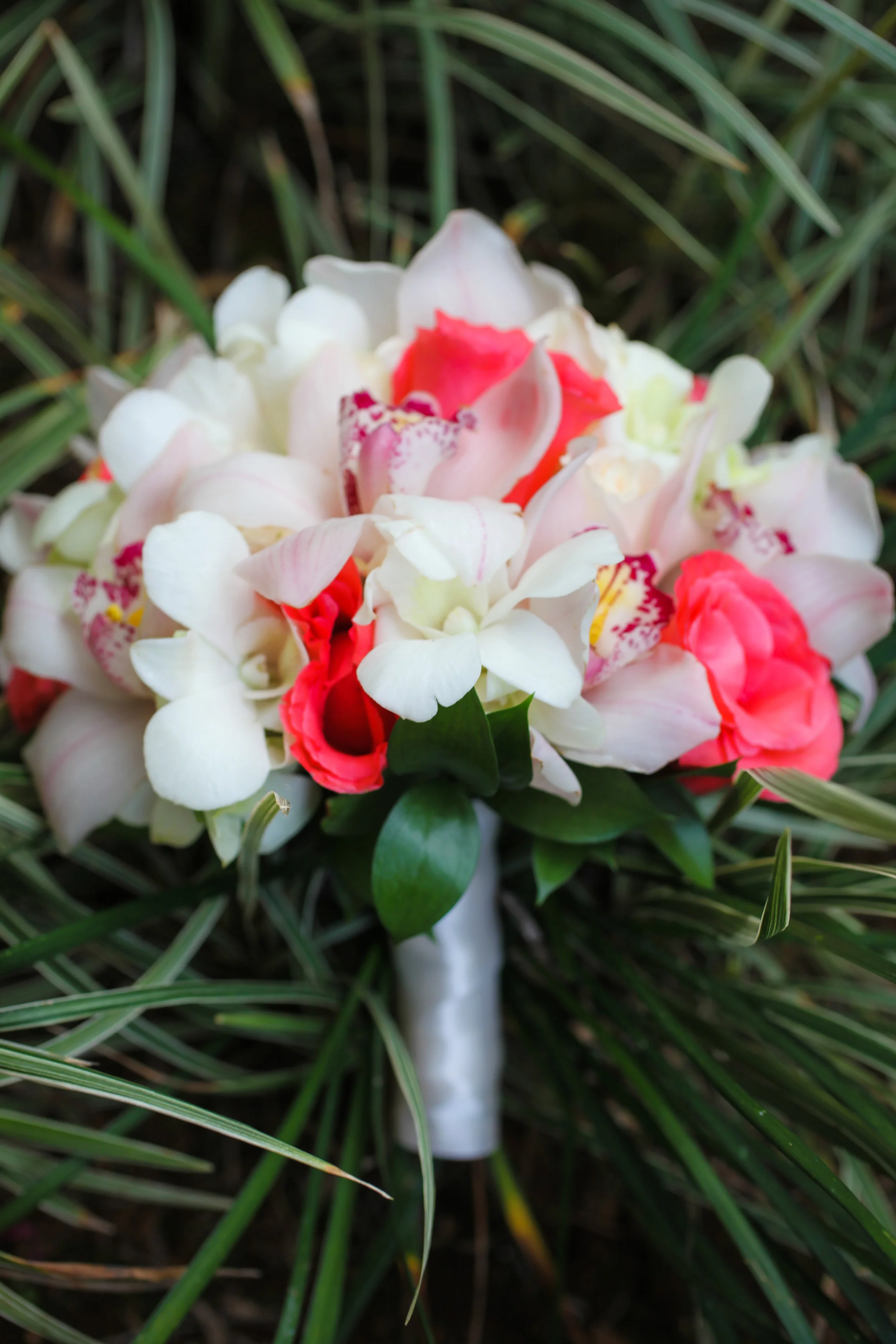 Desiree&Tony-119.jpg