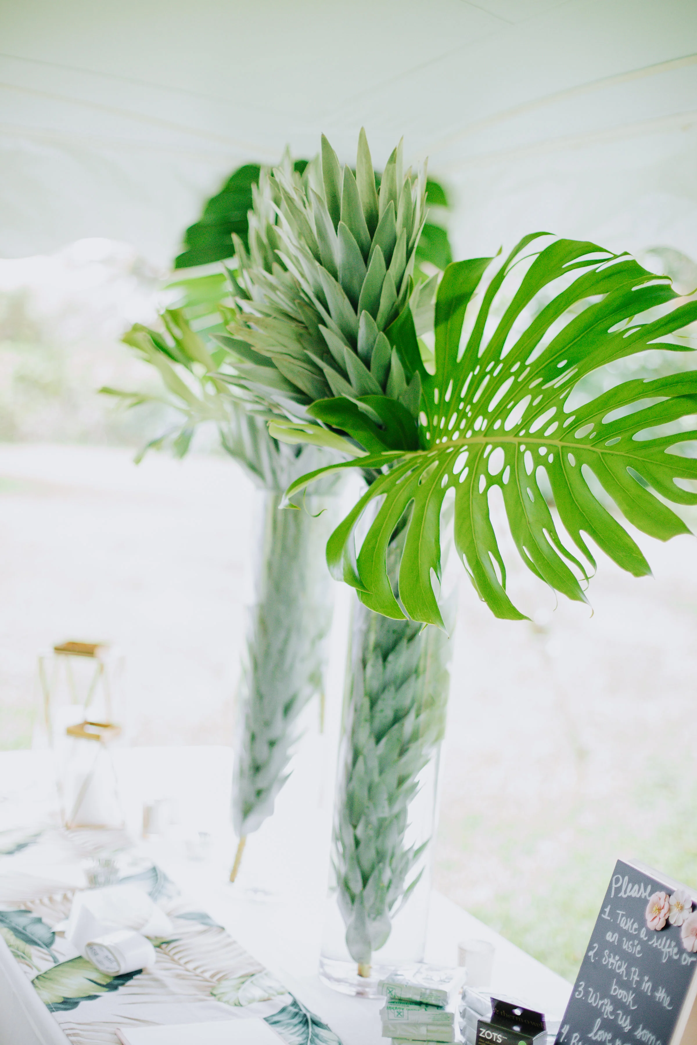 Madeline&Shane-359.jpg