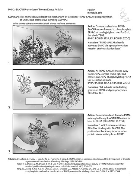 storyboard