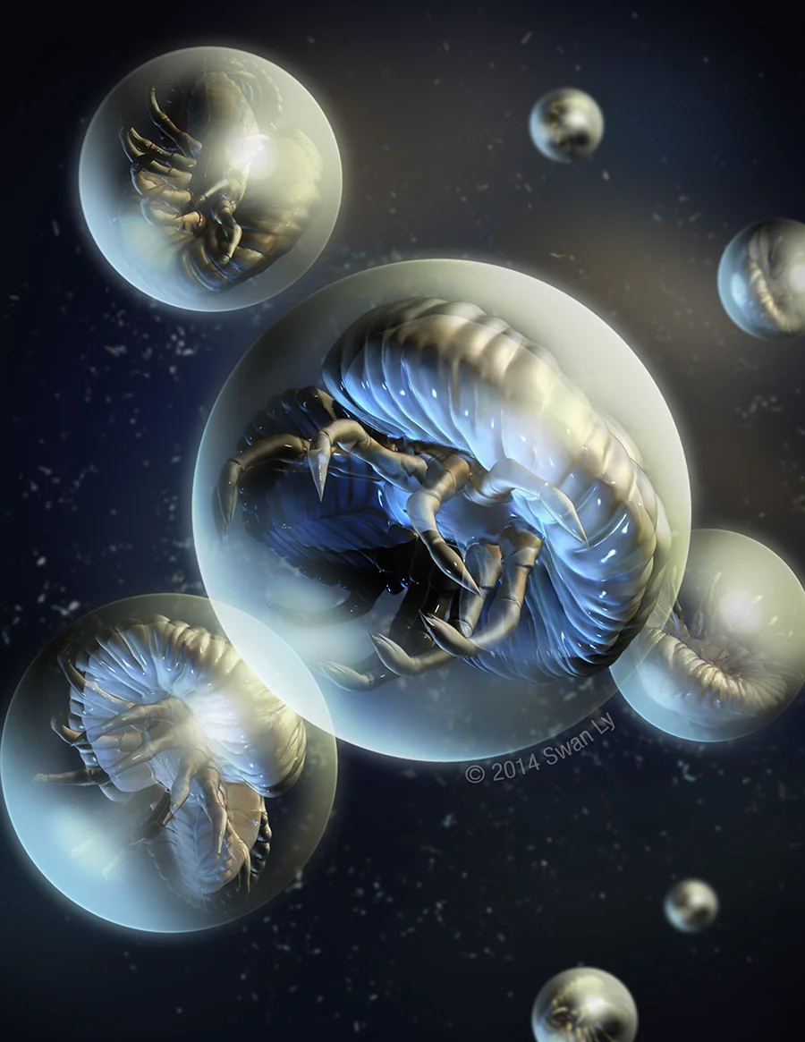 Horseshoe Crab Embryos