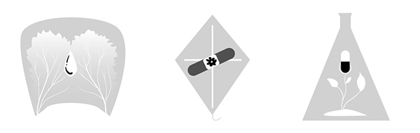Chosen Logo Concept