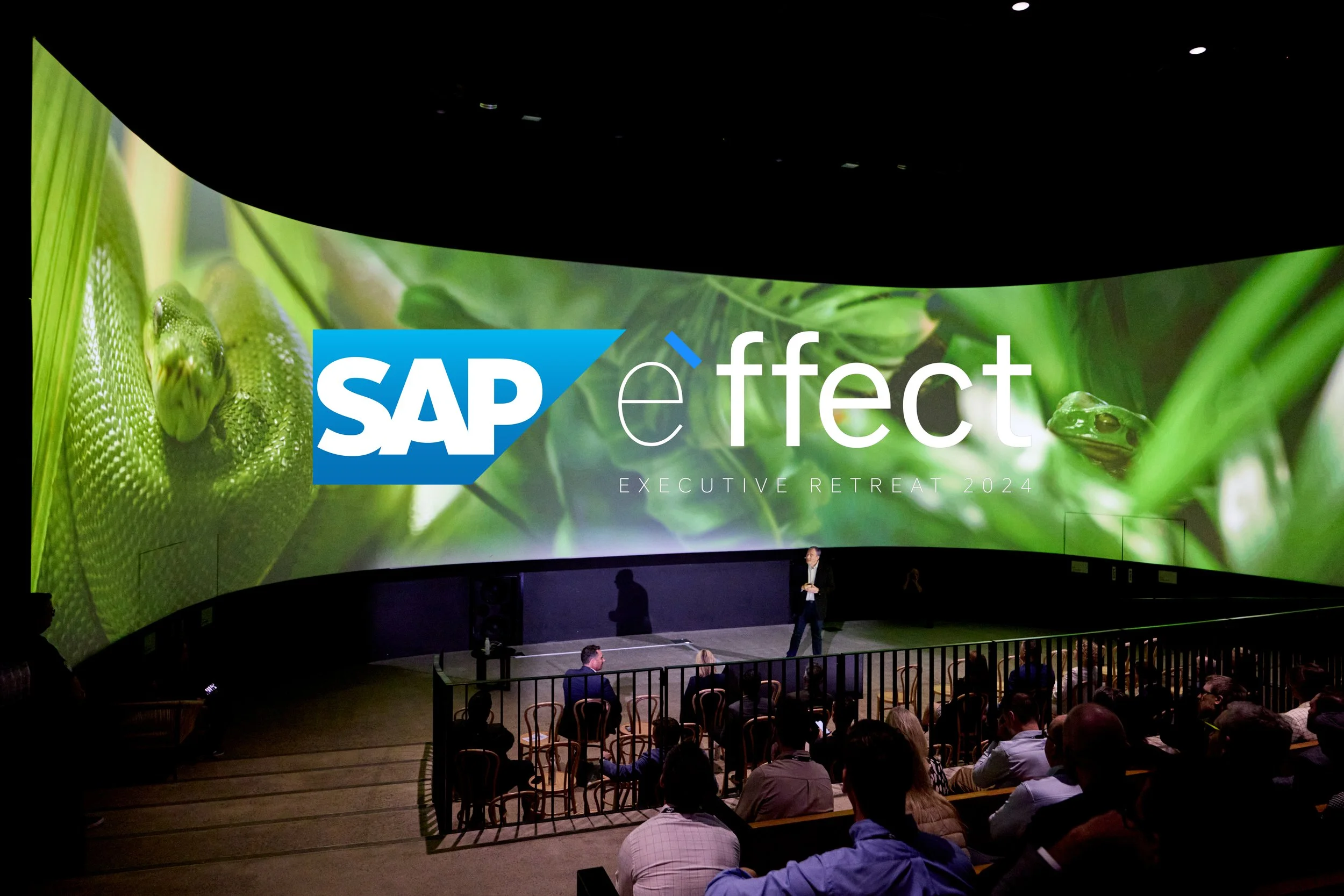 SAP24_8717_2.jpg