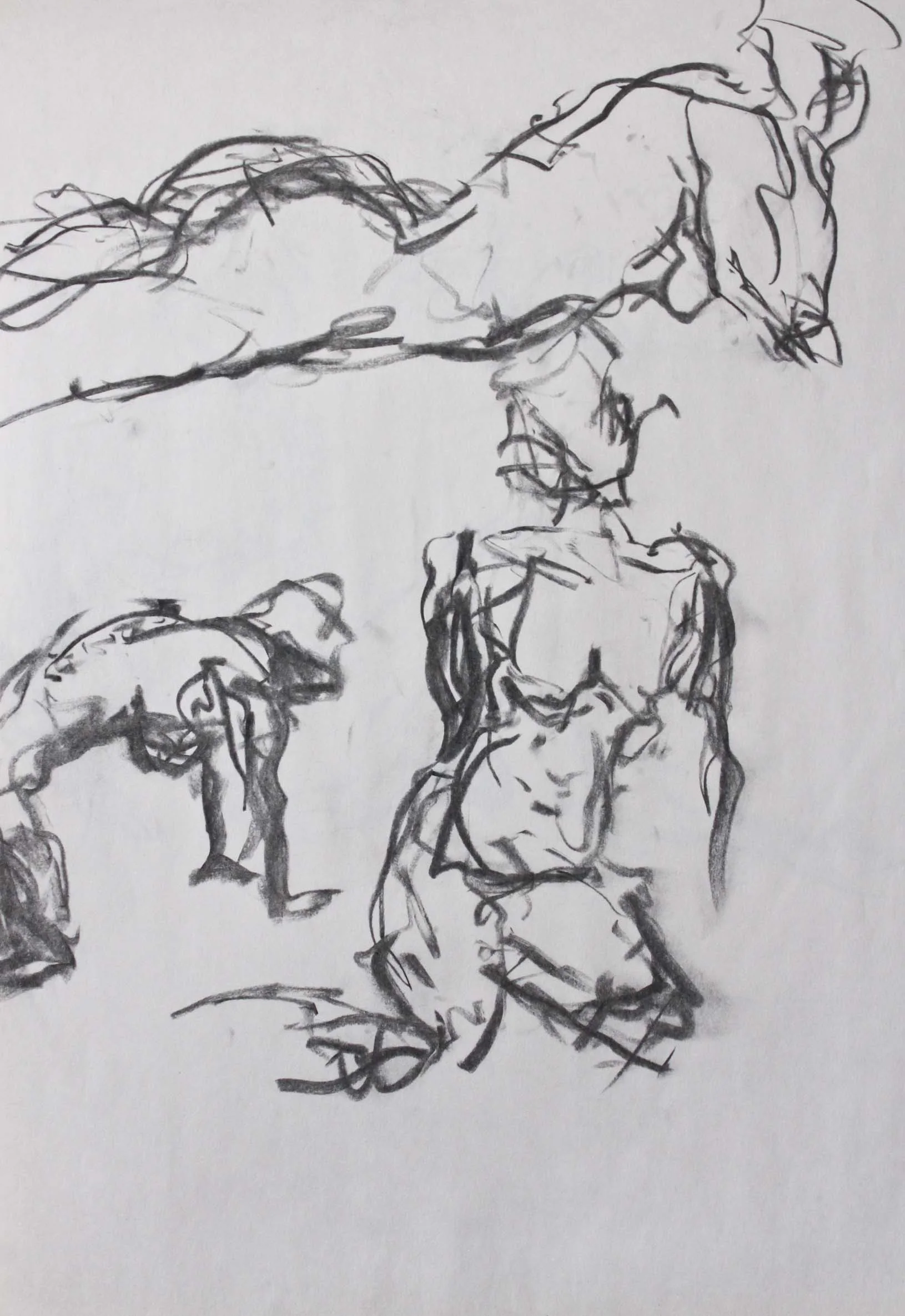 Robin Life Drawing53.jpg