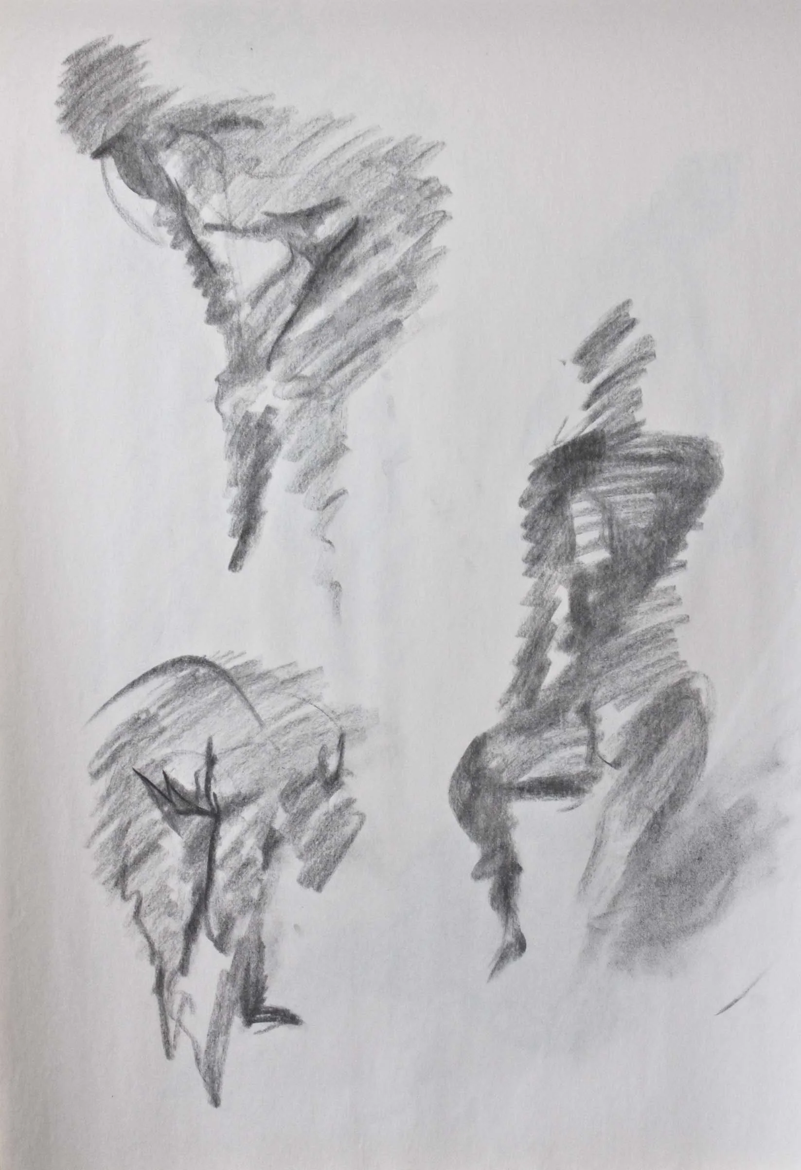 Robin Life Drawing52.jpg