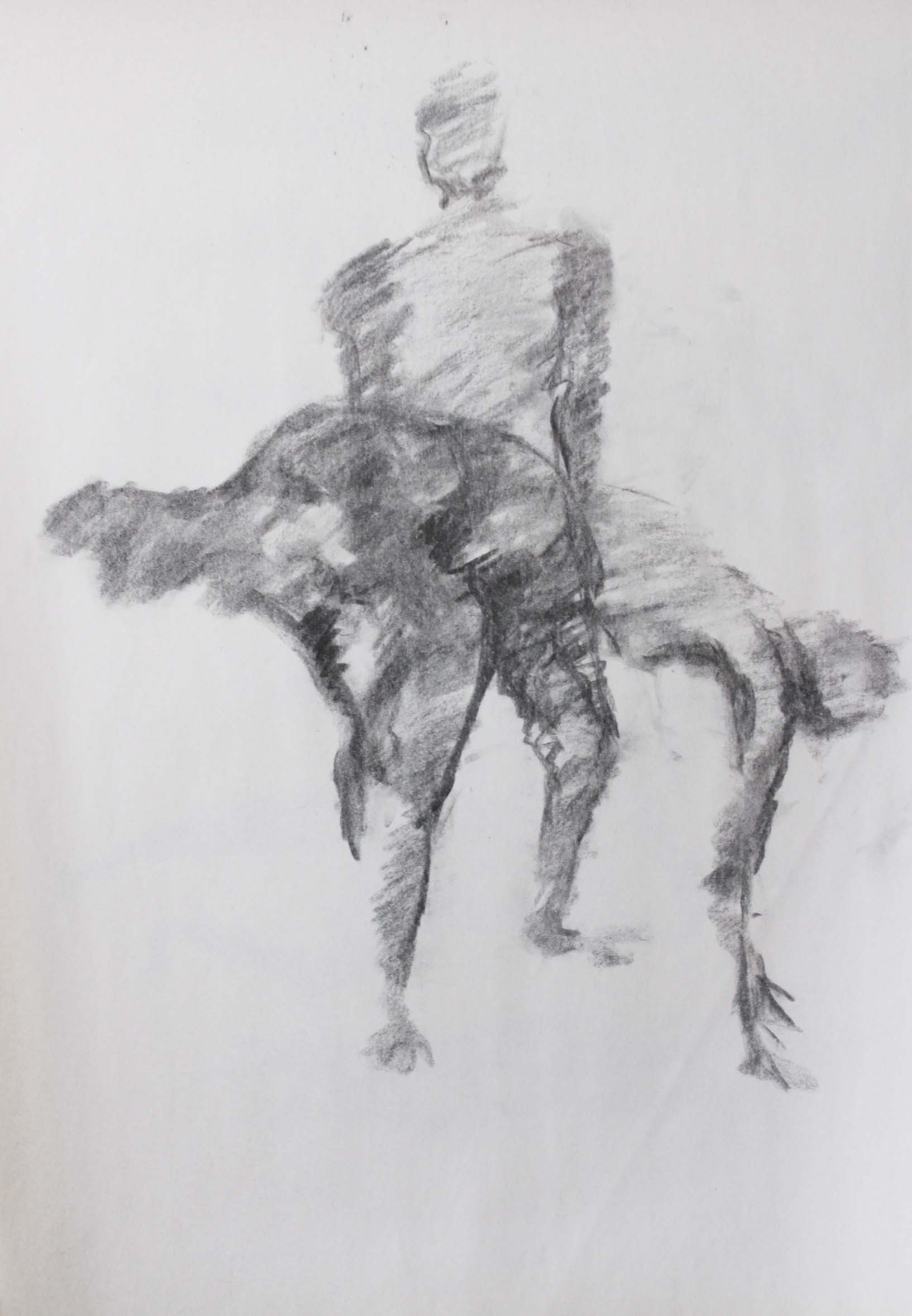 Robin Life Drawing48.jpg