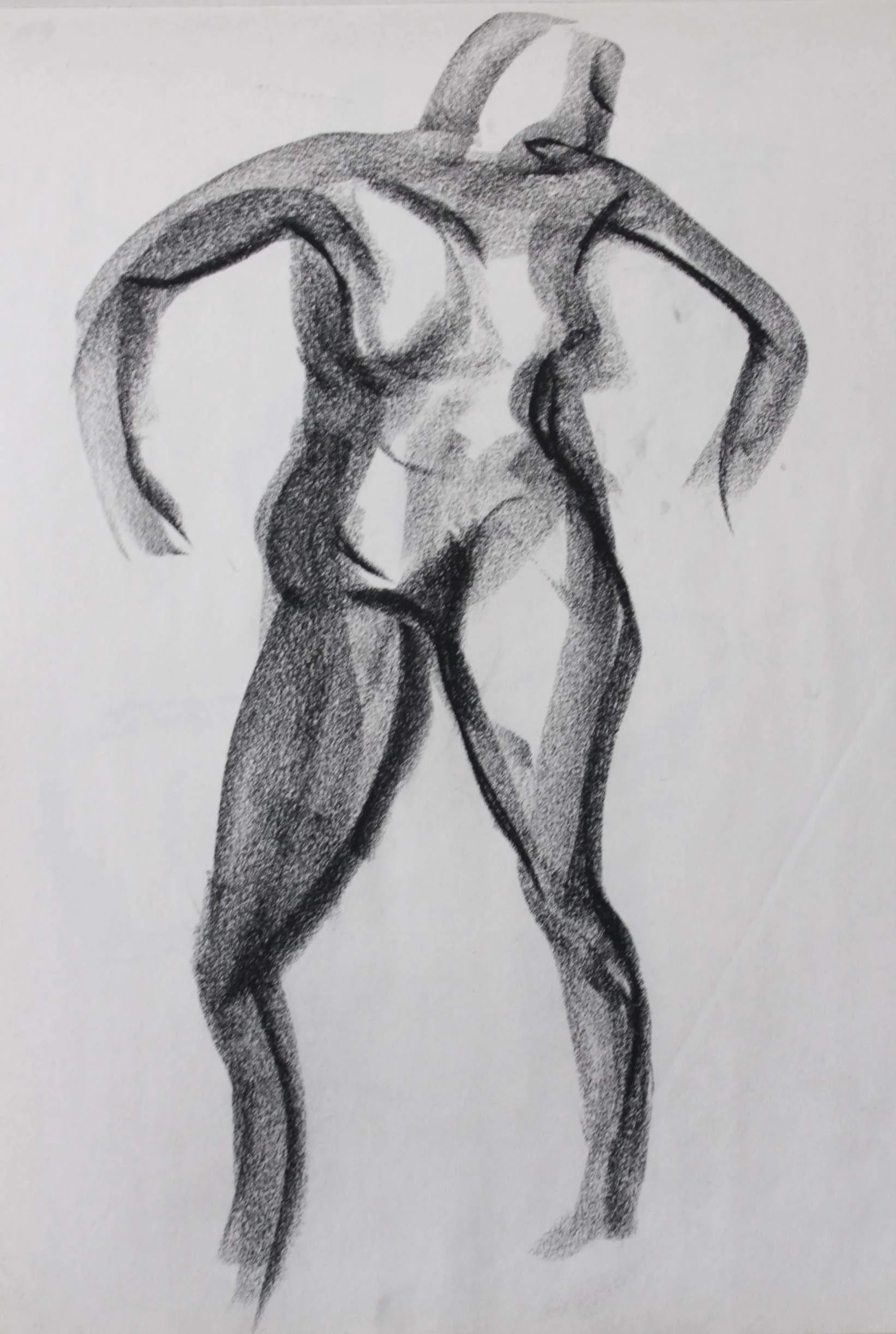 Robin Life Drawing49.jpg