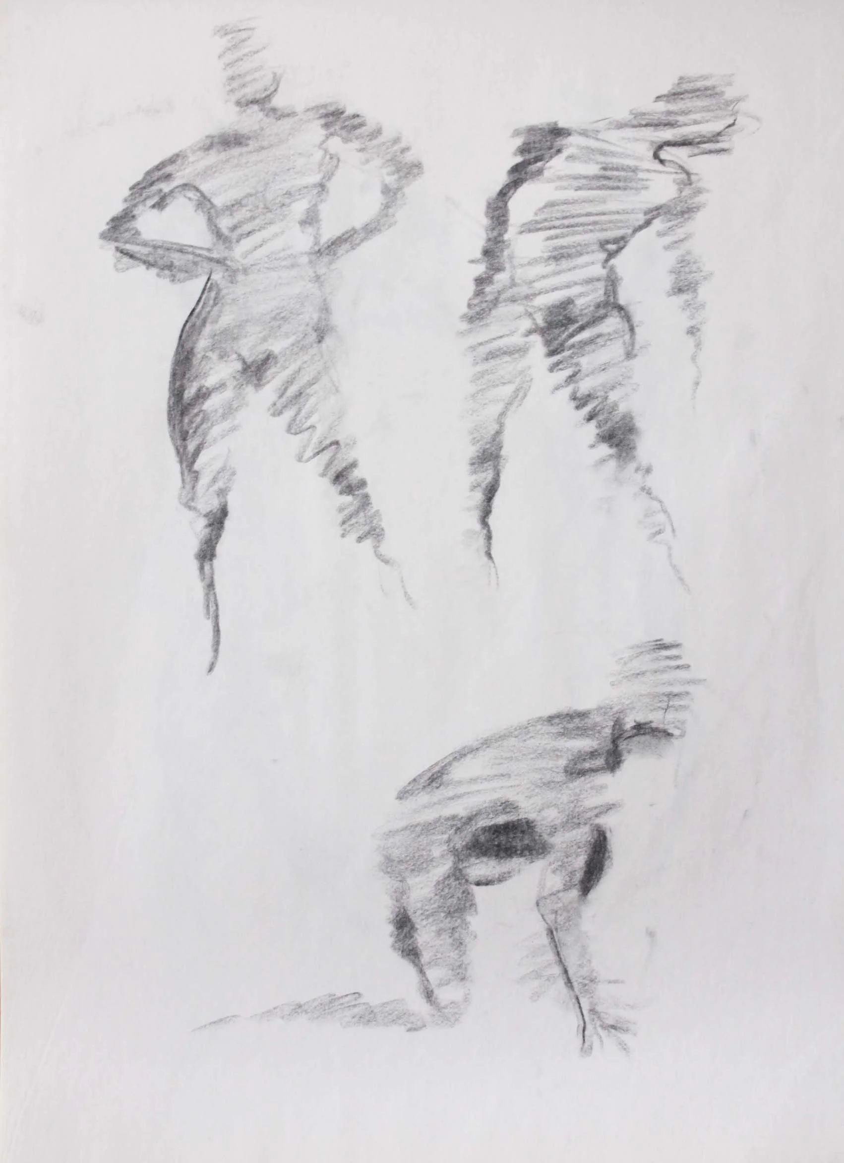 Robin Life Drawing45.jpg