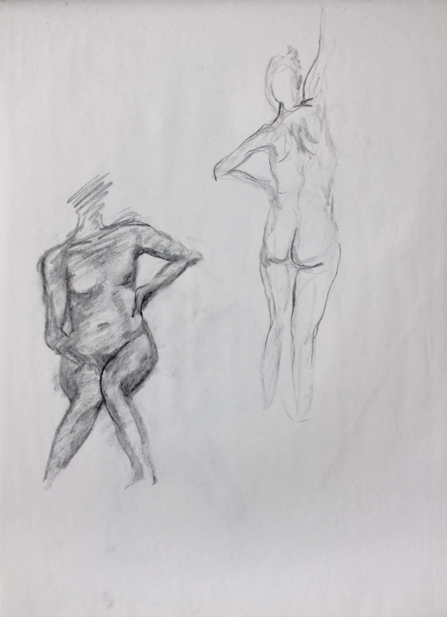 Robin Life Drawing42.jpg