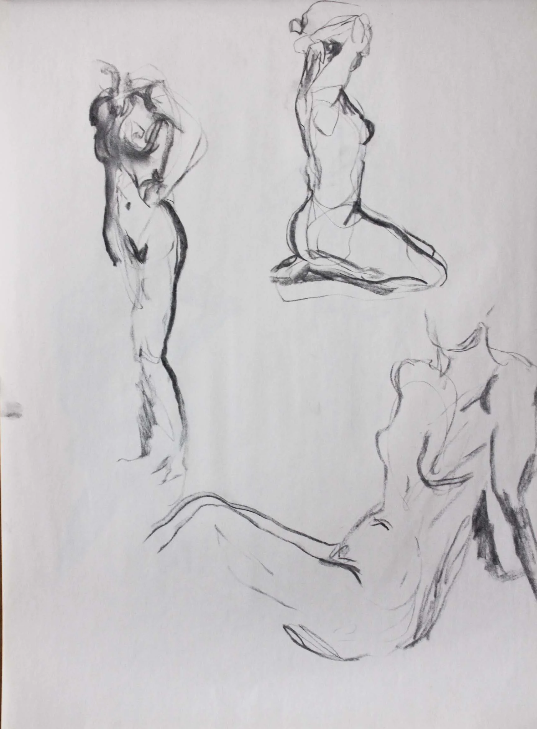 Robin Life Drawing41.jpg