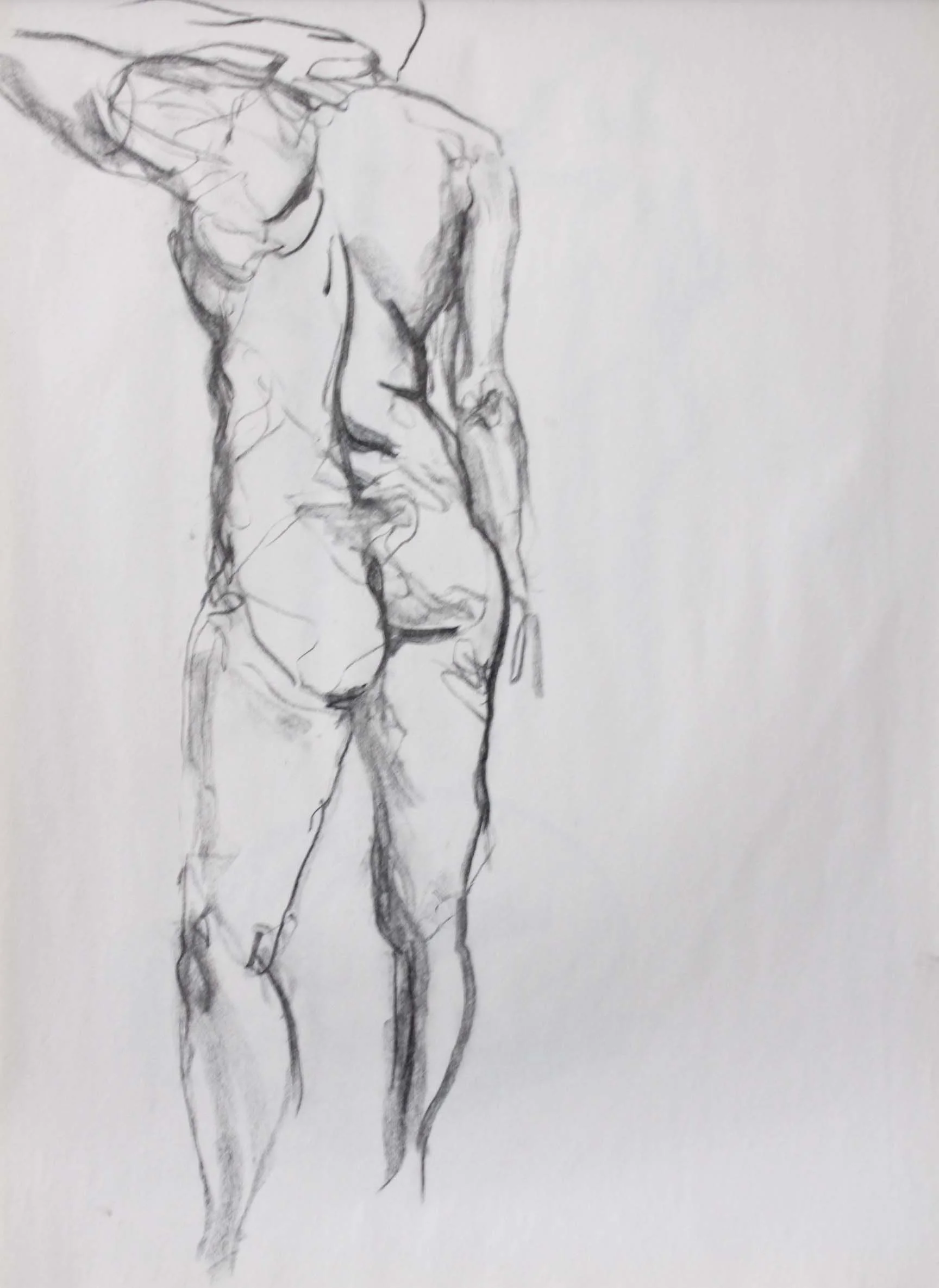 Robin Life Drawing40.jpg